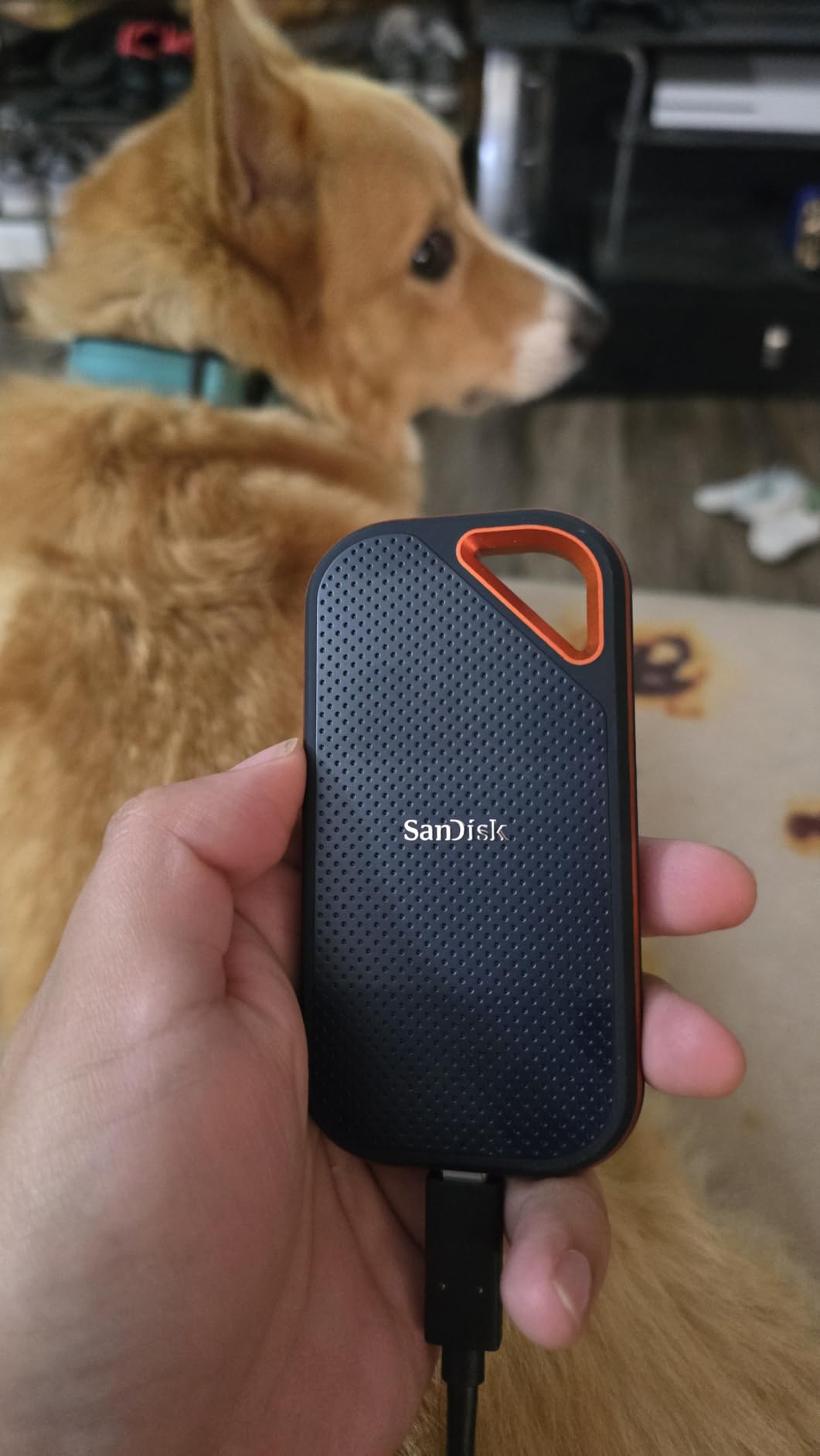 SanDisk 2TB Extreme PRO Portable SSD - Up to 2000MB/s - USB-C, USB 3.2 Gen 2x2, IP65 Water and Dust Resistance, Updated Firmware - External Solid State Drive - SDSSDE81-2T00-G25 Customer Review SanDisk 2TB Extreme PRO Portable SSD - Up to 2000MB/s - USB-C, USB 3.2 Gen 2x2, IP65 Water and Dust Resistance, Updated Firmware - External Solid State Drive - SDSSDE81-2T00-G25 - Customer Photo 1