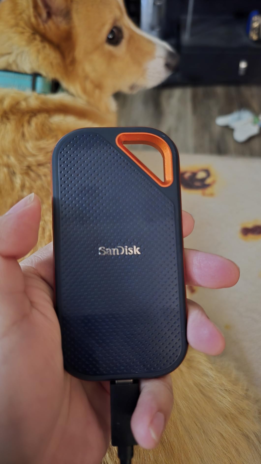 SanDisk 2TB Extreme PRO Portable SSD - Up to 2000MB/s - USB-C, USB 3.2 Gen 2x2, IP65 Water and Dust Resistance, Updated Firmware - External Solid State Drive - SDSSDE81-2T00-G25 Customer Review SanDisk 2TB Extreme PRO Portable SSD - Up to 2000MB/s - USB-C, USB 3.2 Gen 2x2, IP65 Water and Dust Resistance, Updated Firmware - External Solid State Drive - SDSSDE81-2T00-G25 - Customer Photo 2