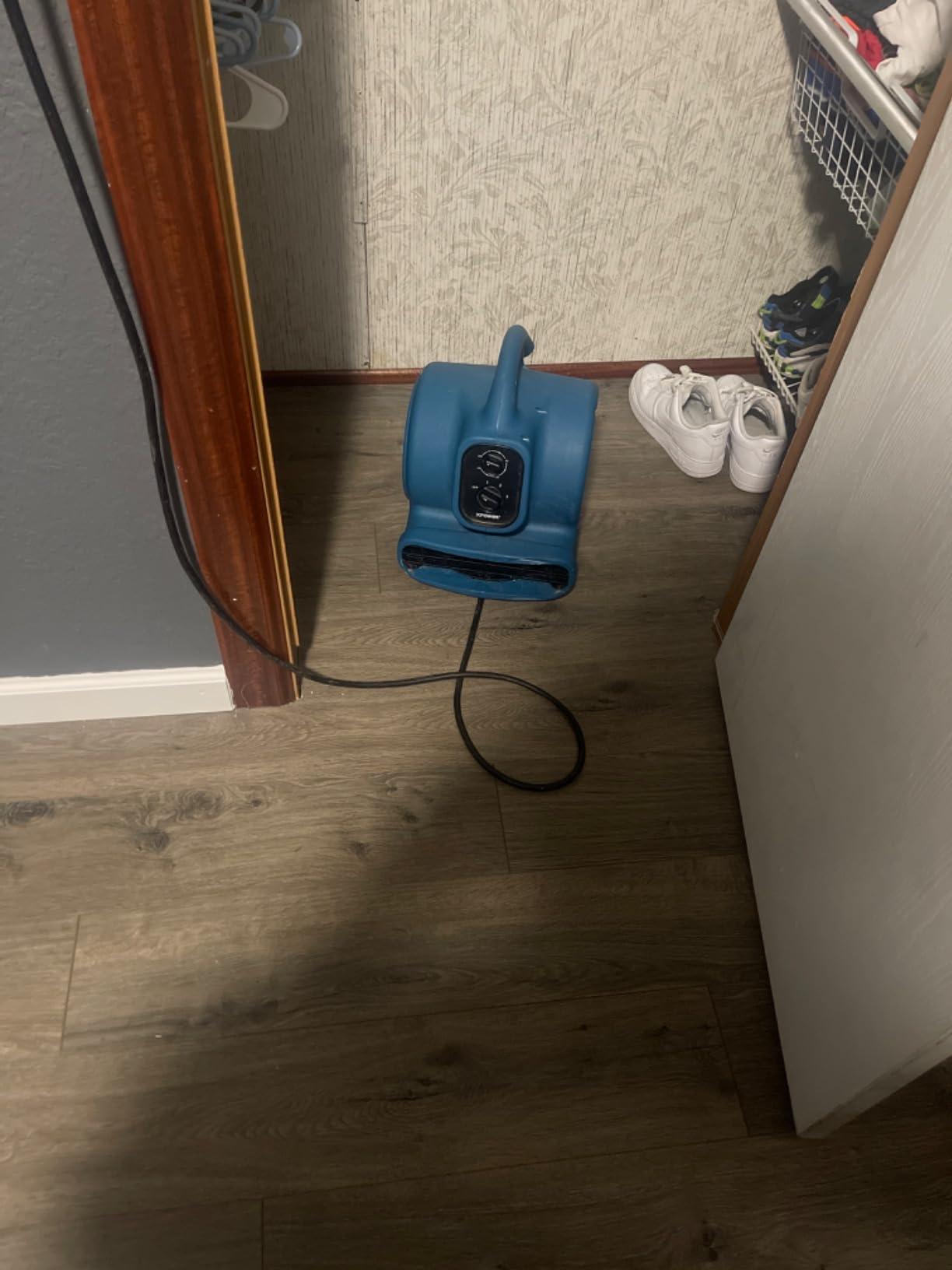 XPOWER P-230AT Mini Mighty 1/4 HP 925 CFM Centrifugal Air Mover, Carpet Dryer, Floor Fan, Blower, Stackable, Daisy Chain, for Water Damage Restoration, Janitorial, Plumbing, Home Use - Customer Photo 3