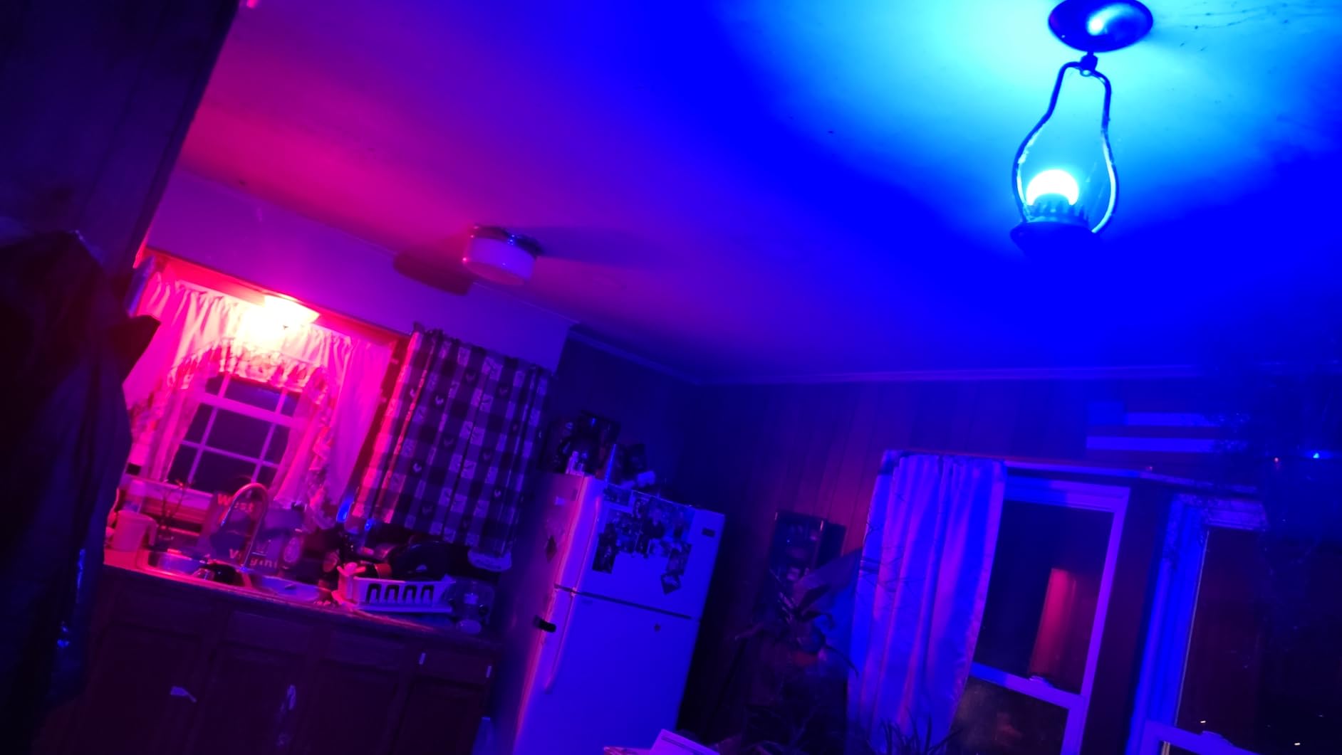 Kasa Smart Light Bulbs, Full Color Changing Dimmable Smart WiFi Bulbs Compatible with Alexa and Google Home, A19, 60 W 800 Lumens,2.4Ghz only, No Hub Required, 2-Pack (KL125P2), Multicolor Customer Review Kasa Smart Light Bulbs, Full Color Changing Dimmable Smart WiFi Bulbs Compatible with Alexa and Google Home, A19, 60 W 800 Lumens,2.4Ghz only, No Hub Required, 2-Pack (KL125P2), Multicolor - Customer Photo 2