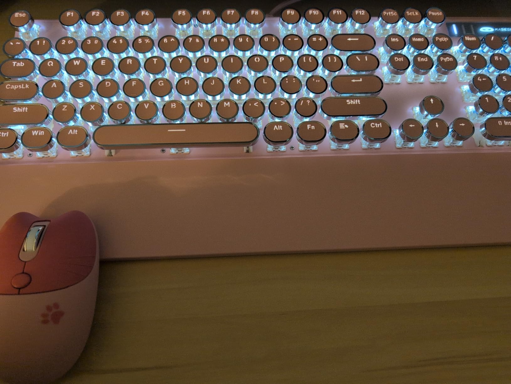 Camiysn Typewriter Style Mechanical Gaming Keyboard, Black Retro Punk Gaming Keyboard with RGB Backlit, 104 Keys Blue Switch Wired Cute Keyboards, Round Keycaps for Windows/Mac/PC Customer Review Camiysn Typewriter Style Mechanical Gaming Keyboard, Black Retro Punk Gaming Keyboard with RGB Backlit, 104 Keys Blue Switch Wired Cute Keyboards, Round Keycaps for Windows/Mac/PC - Customer Photo 1