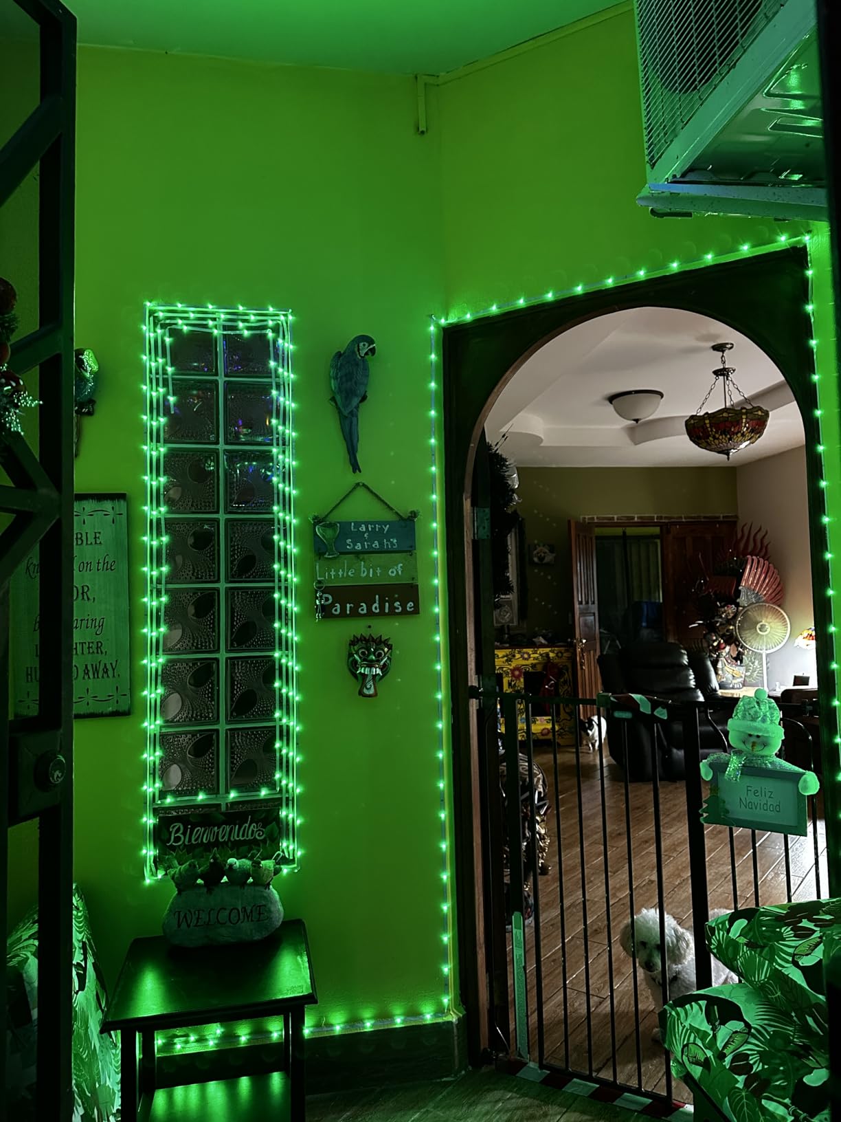 KSIPZE 100ft Led Strip Lights RGB Music Sync Color Changing Led Lights with Smart App Control Remote Led Lights for Bedroom Room Lighting Flexible Home Décor Customer Review KSIPZE 100ft Led Strip Lights RGB Music Sync Color Changing Led Lights with Smart App Control Remote Led Lights for Bedroom Room Lighting Flexible Home Décor - Customer Photo 2