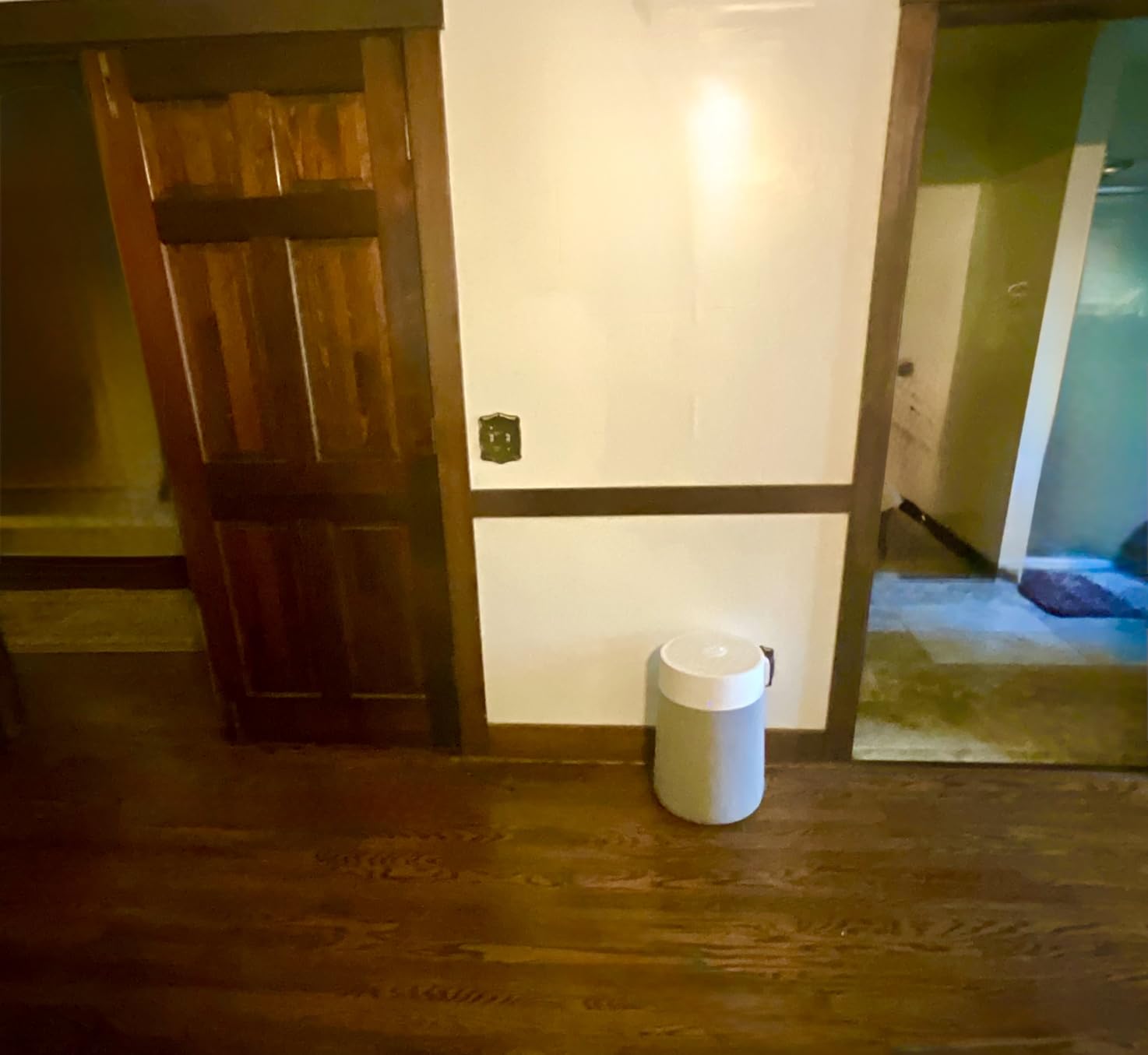 BLUEAIR Air Purifiers for Large Rooms, Cleans 3,048 Sqft In One Hour, HEPASilent Smart Air Cleaner For Home, Pets, Allergies, Virus, Dust, Mold, Smoke - Blue Pure 211i Max Customer Review BLUEAIR Air Purifiers for Large Rooms, Cleans 3,048 Sqft In One Hour, HEPASilent Smart Air Cleaner For Home, Pets, Allergies, Virus, Dust, Mold, Smoke - Blue Pure 211i Max - Customer Photo 1