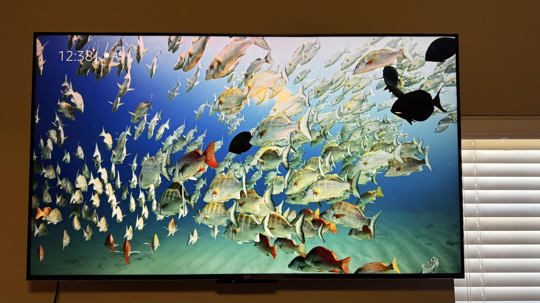 Amazon Fire TV 65 Amazon Fire TV 65