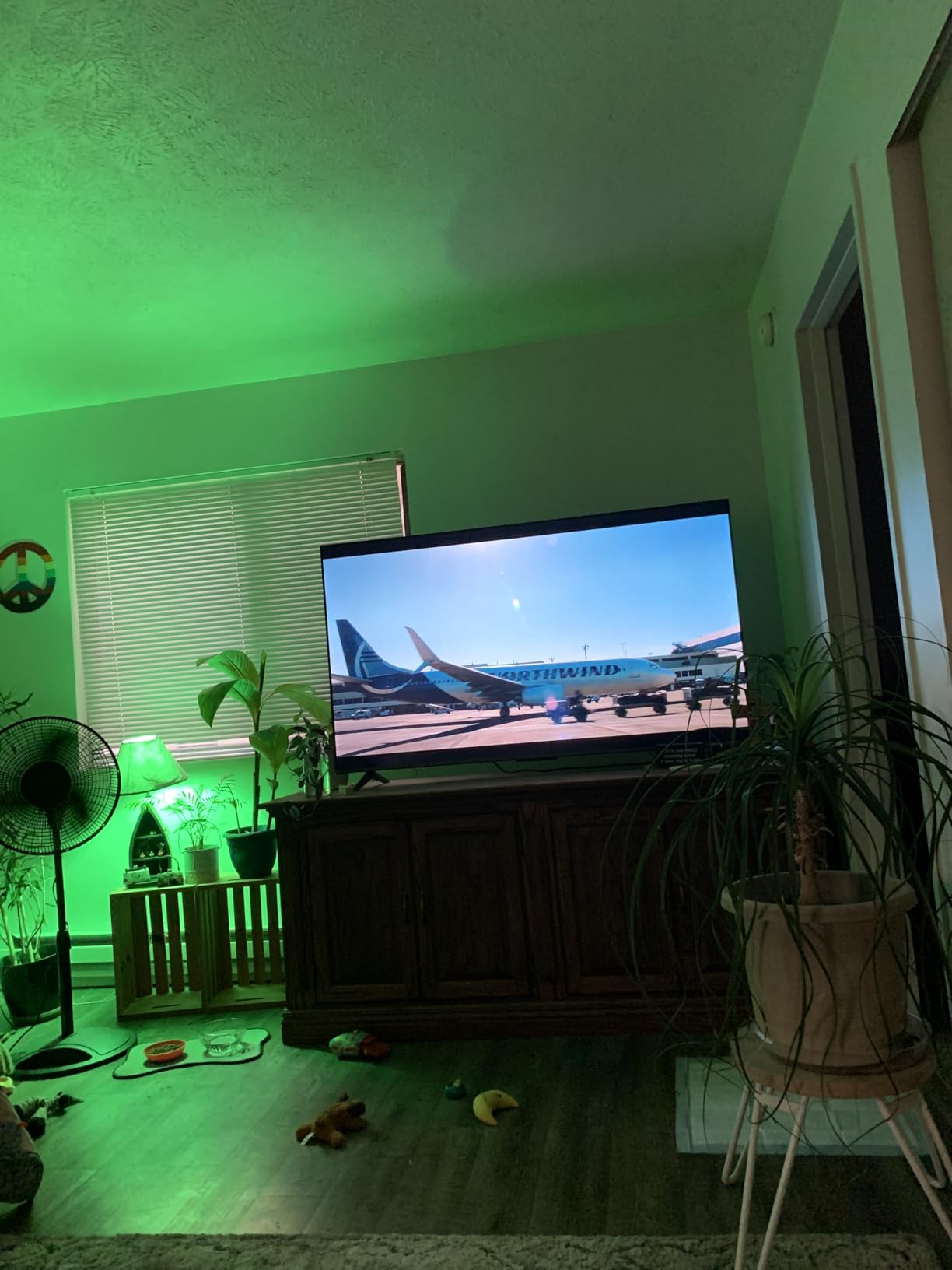 INSIGNIA 65-inch Class F50 Series LED 4K UHD Smart Fire TV with Alexa Voice Remote (NS-65F501NA24) Customer Review INSIGNIA 65-inch Class F50 Series LED 4K UHD Smart Fire TV with Alexa Voice Remote (NS-65F501NA24) - Customer Photo 2