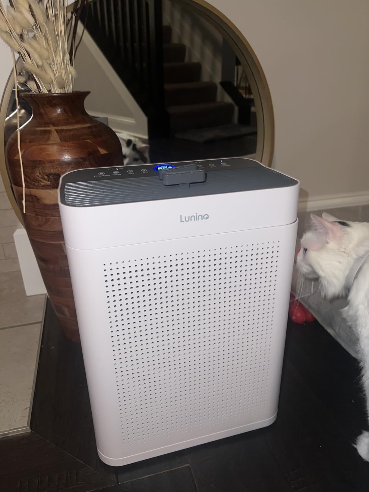 Air Purifiers for Home Large Room up to 3000sq.ft, LUNINO HEPA Double-Sided Air Purifier with Washable Filter, PM 2.5 Display Air Quality Sensors, Air Cleaner for Pets Hair, Odor, Dust, Smoke, Pollen Customer Review Air Purifiers for Home Large Room up to 3000sq.ft, LUNINO HEPA Double-Sided Air Purifier with Washable Filter, PM 2.5 Display Air Quality Sensors, Air Cleaner for Pets Hair, Odor, Dust, Smoke, Pollen - Customer Photo 2