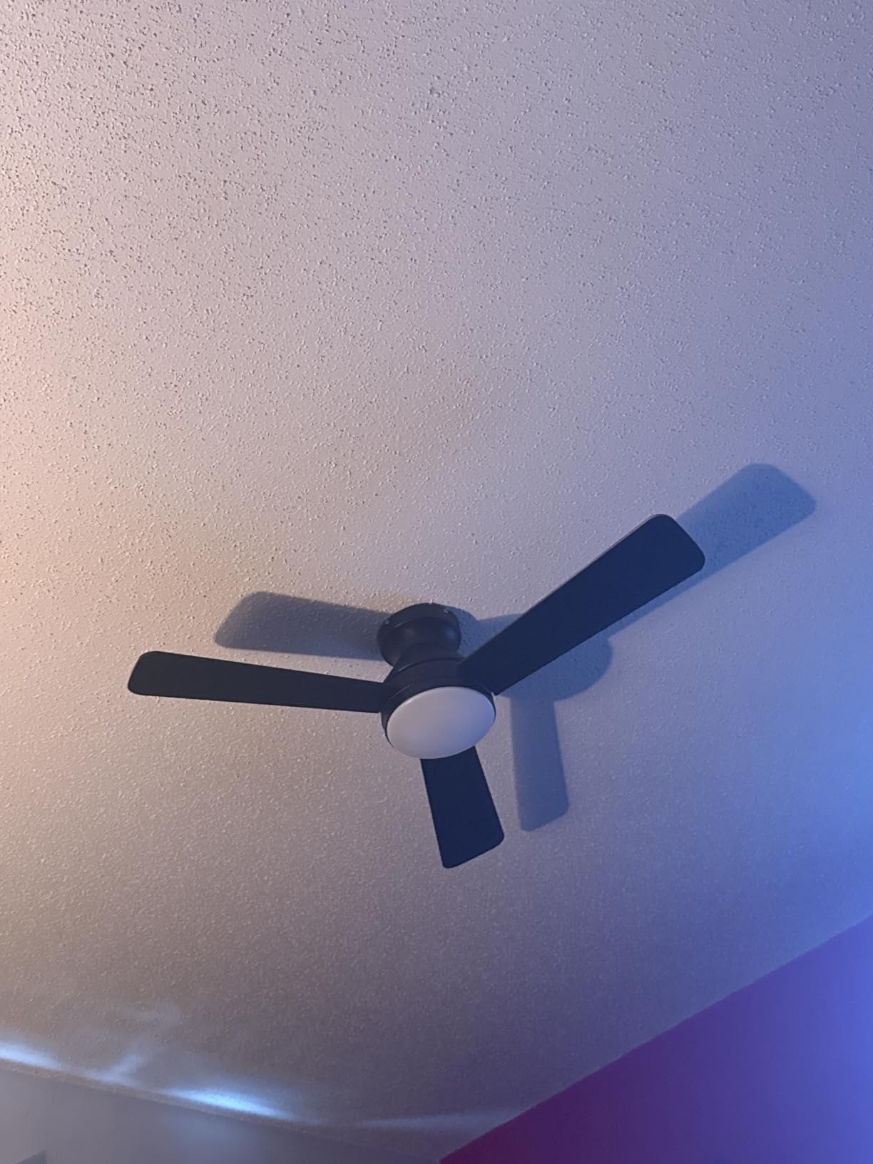 Ceiling Fans with Lights, 42 Inch Low Profile Ceiling Fan with Light and Remote Control, Reversible, LED Dimmable for Bedroom Living Room Indoor/Outdoor Patio Use Customer Review Ceiling Fans with Lights, 42 Inch Low Profile Ceiling Fan with Light and Remote Control, Reversible, LED Dimmable for Bedroom Living Room Indoor/Outdoor Patio Use - Customer Photo 1