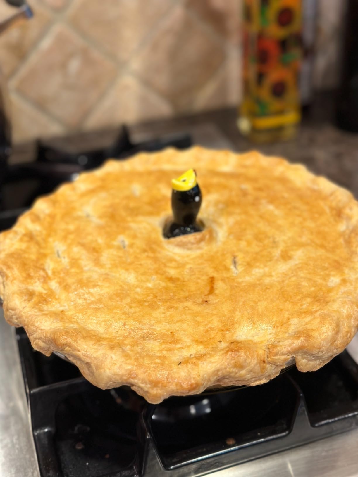 Norpro Ceramic Pie Bird Customer Review Norpro Ceramic Pie Bird - Customer Photo 1