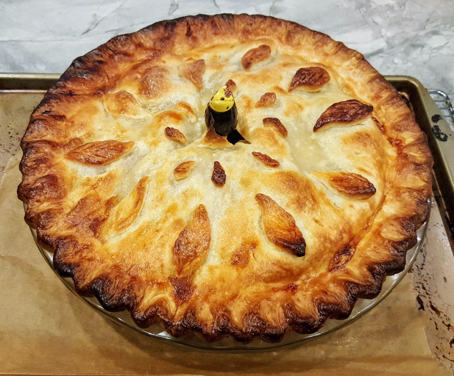 Norpro Ceramic Pie Bird Customer Review Norpro Ceramic Pie Bird - Customer Photo 2