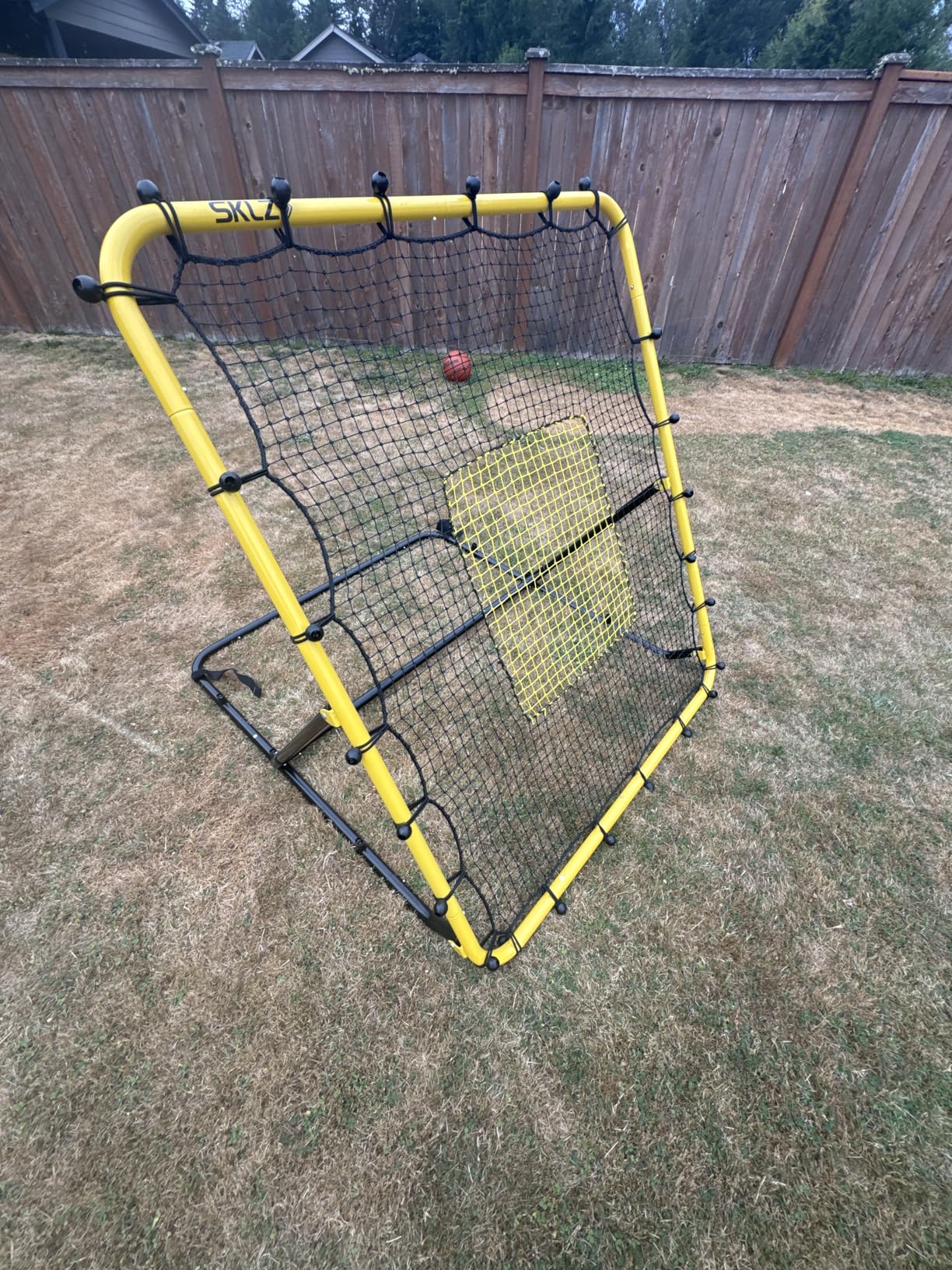 SKLZ Baseball Rebound Net - Durable Pitch-Back Trainer for Enhanced Fielding Practice & Skill Development Customer Review SKLZ Baseball Rebound Net - Durable Pitch-Back Trainer for Enhanced Fielding Practice & Skill Development - Customer Photo 2