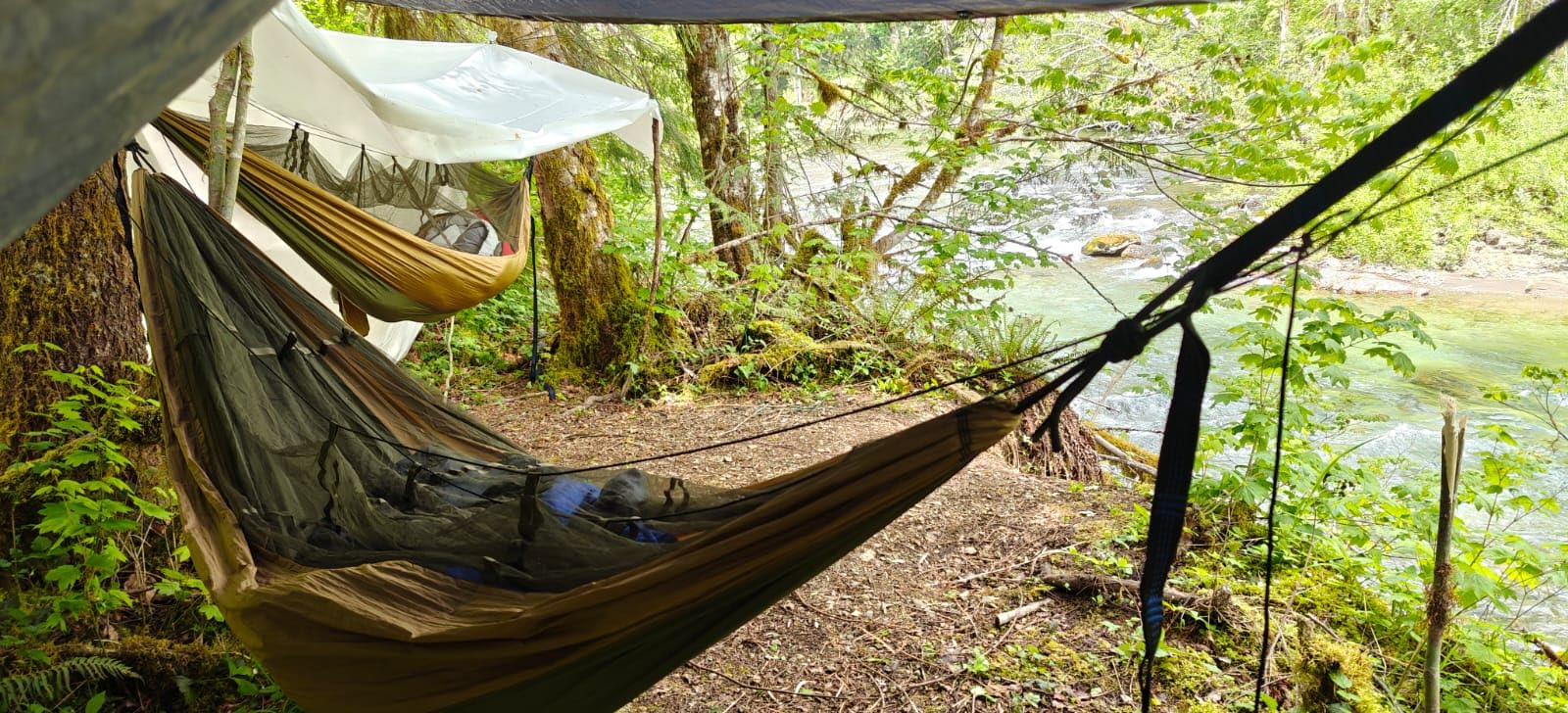 Sunyear Camping Hammock, Portable Single & Double Hammock with Net, 2 Person Hammock Tent with 2 * 10ft Straps, Best for Outdoor Hiking Survival Travel Customer Review Sunyear Camping Hammock, Portable Single & Double Hammock with Net, 2 Person Hammock Tent with 2 * 10ft Straps, Best for Outdoor Hiking Survival Travel - Customer Photo 1