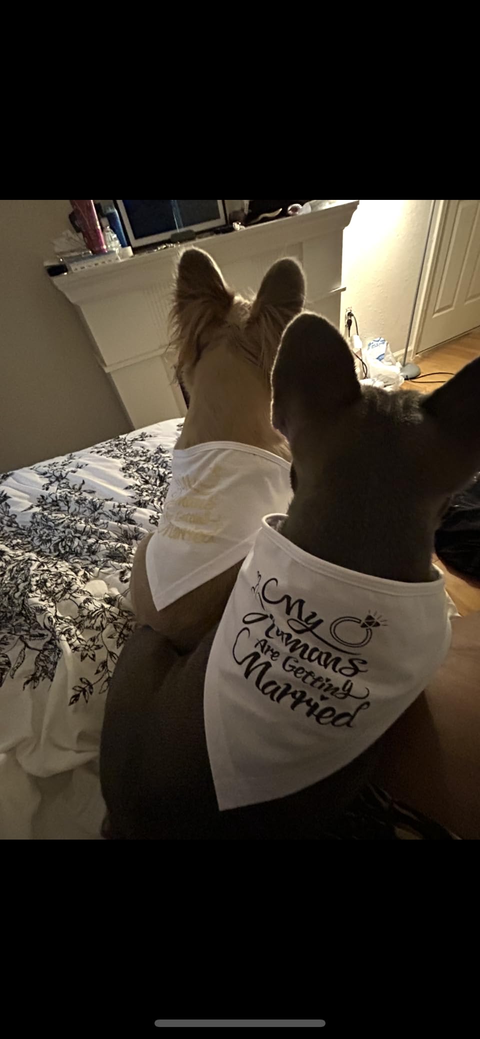 Engagement Gift, My Humans are Getting Married Dog Bandana, Wedding Photo Prop, Pet Scarf, Dog Engagement Announcement, Pet Accessories (Black) Customer Review Engagement Gift, My Humans are Getting Married Dog Bandana, Wedding Photo Prop, Pet Scarf, Dog Engagement Announcement, Pet Accessories (Black) - Customer Photo 2