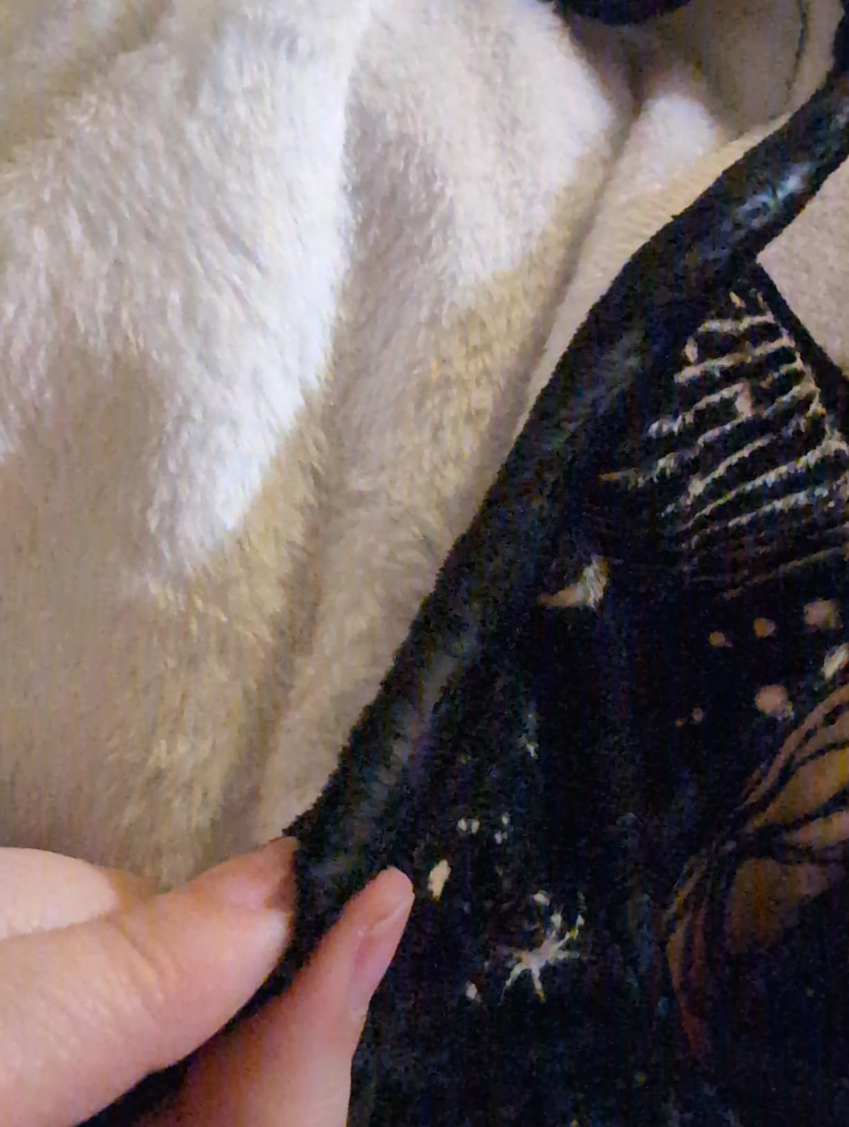 Leo Zodiac Blanket, 60 Leo Zodiac Blanket, 60