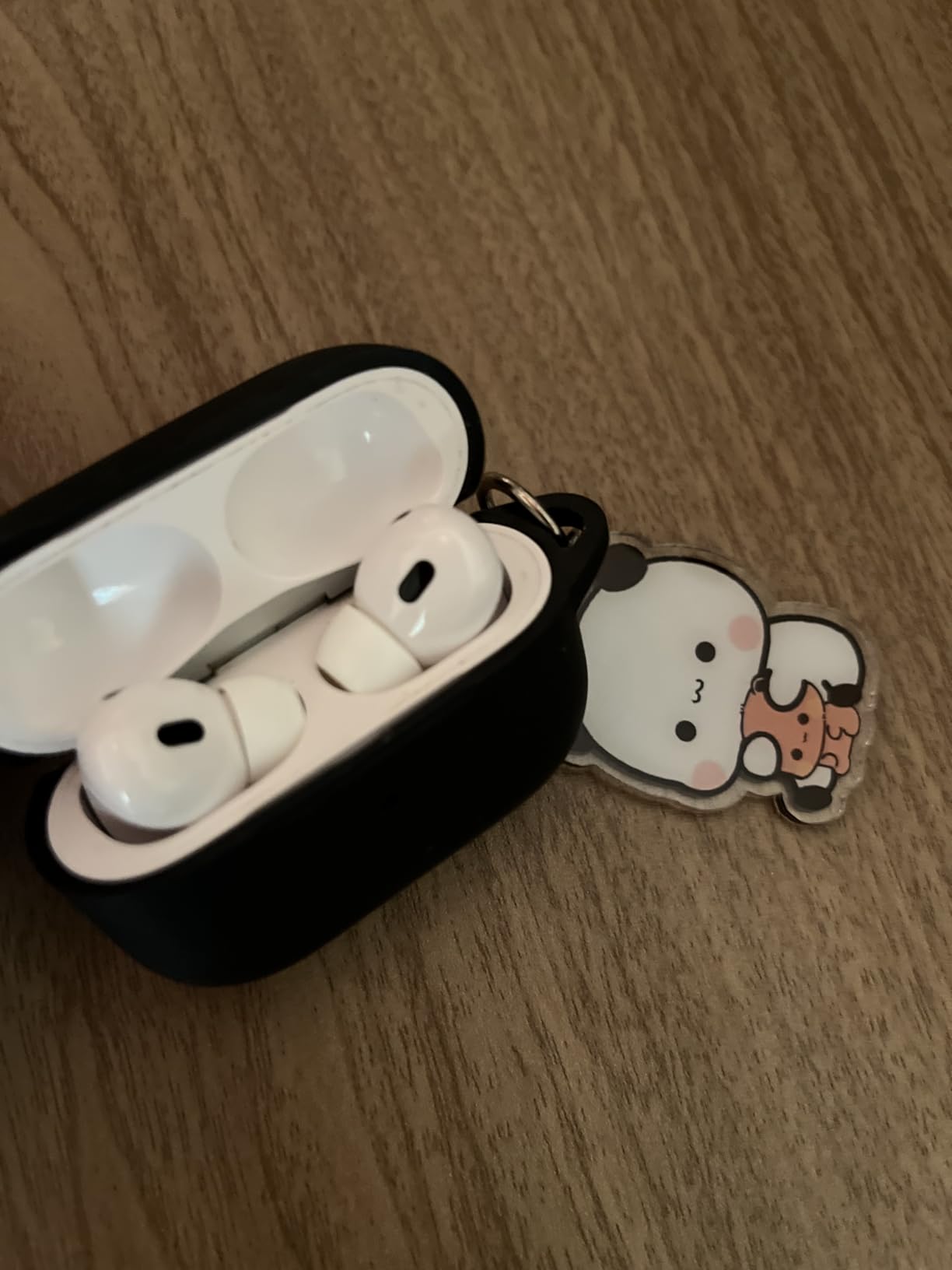 Ljusmicker for AirPods Pro Case Cover with Cleaner Kit,Soft Silicone Protective Cover for Apple AirPod Pro 2nd/1st Generation Case for Women Men,AirPods Pro 2/Pro Case Accessories with Keychain-Black Customer Review Ljusmicker for AirPods Pro Case Cover with Cleaner Kit,Soft Silicone Protective Cover for Apple AirPod Pro 2nd/1st Generation Case for Women Men,AirPods Pro 2/Pro Case Accessories with Keychain-Black - Customer Photo 2