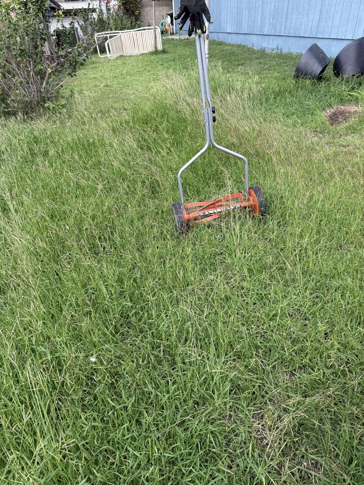 American Lawn Mower Company 1204-14 14-Inch 4-Blade Push Reel Lawn Mower, Red Customer Review American Lawn Mower Company 1204-14 14-Inch 4-Blade Push Reel Lawn Mower, Red - Customer Photo 1