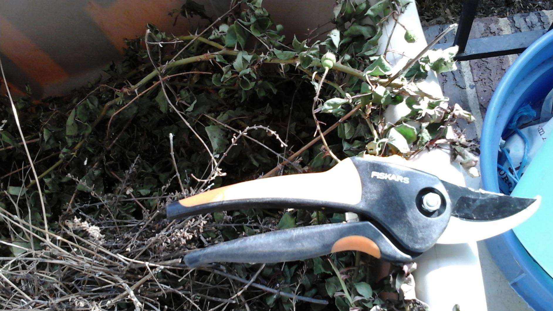 Fiskars Bypass Pruning Shears, Branch Cutter with 5/8 Fiskars Bypass Pruning Shears, Branch Cutter with 5/8