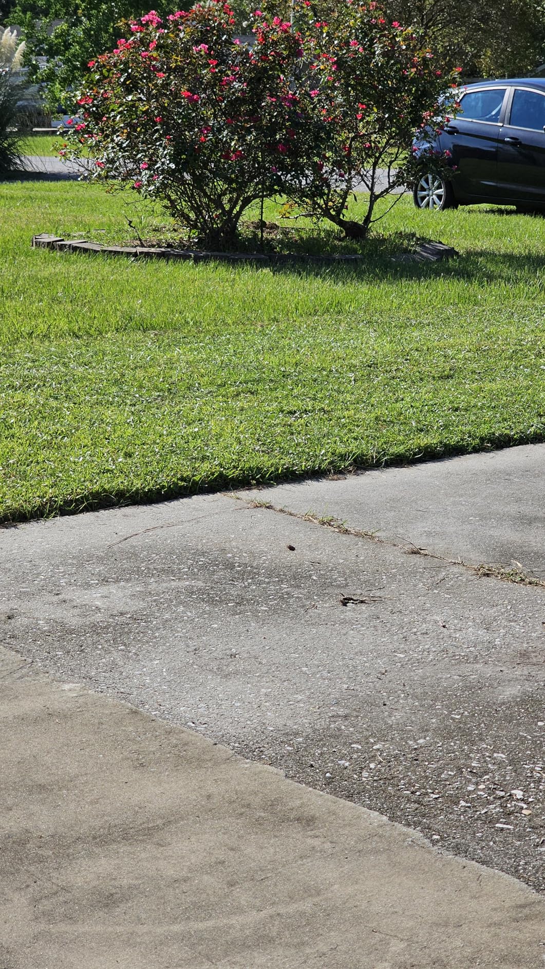 Great States 204-14 Hand Reel 14 Inch Push Lawn Mower Customer Review Great States 204-14 Hand Reel 14 Inch Push Lawn Mower - Customer Photo 1