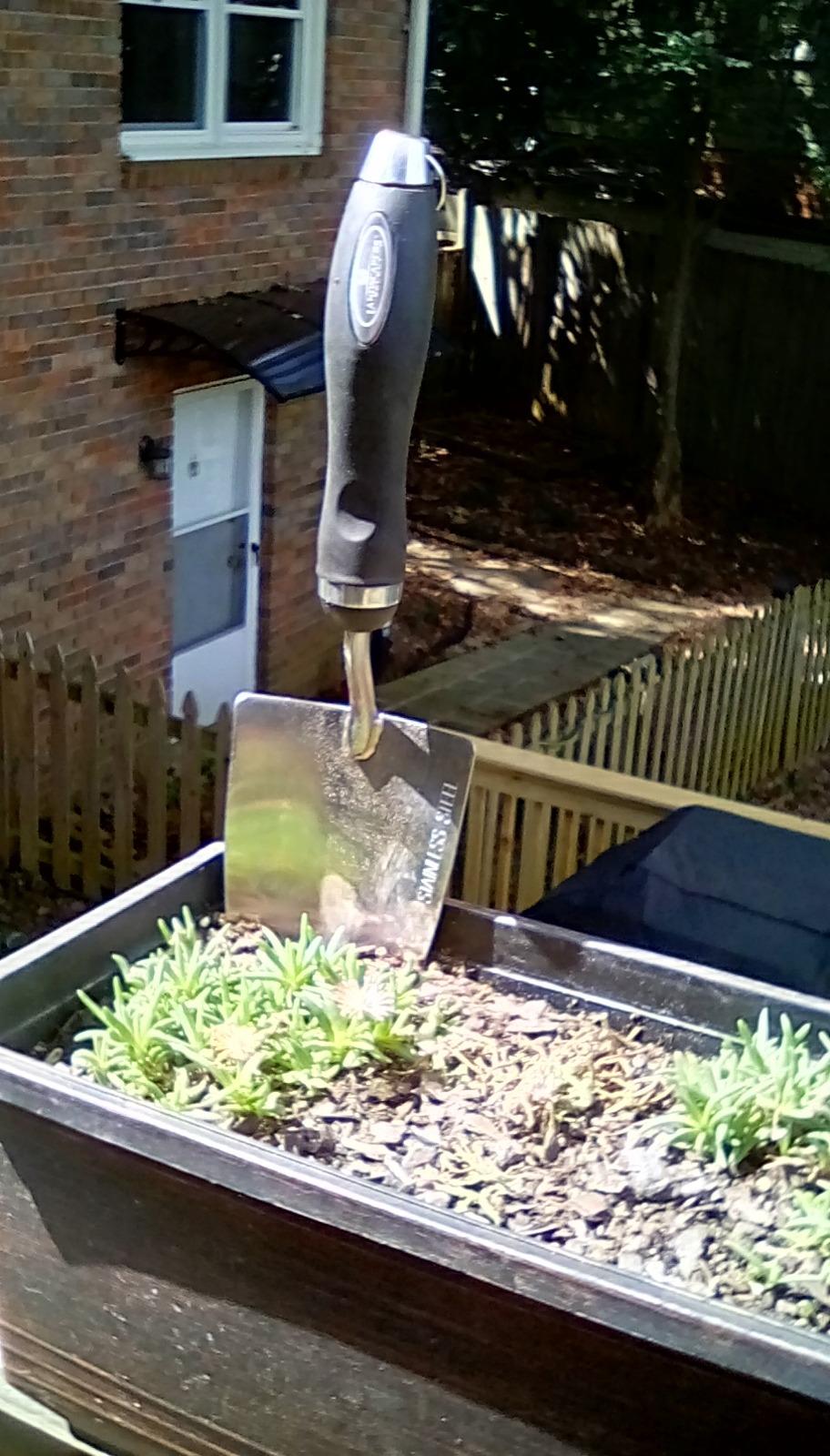 Edward Tools Bend-Proof Garden Trowel - Heavy Duty Polished Stainless Steel - Rust Resistant Oversized Garden Hand Shovel for Quicker Work - Digs Through Rocky/Heavy soils - Comfort Grip (1) Customer Review Edward Tools Bend-Proof Garden Trowel - Heavy Duty Polished Stainless Steel - Rust Resistant Oversized Garden Hand Shovel for Quicker Work - Digs Through Rocky/Heavy soils - Comfort Grip (1) - Customer Photo 2