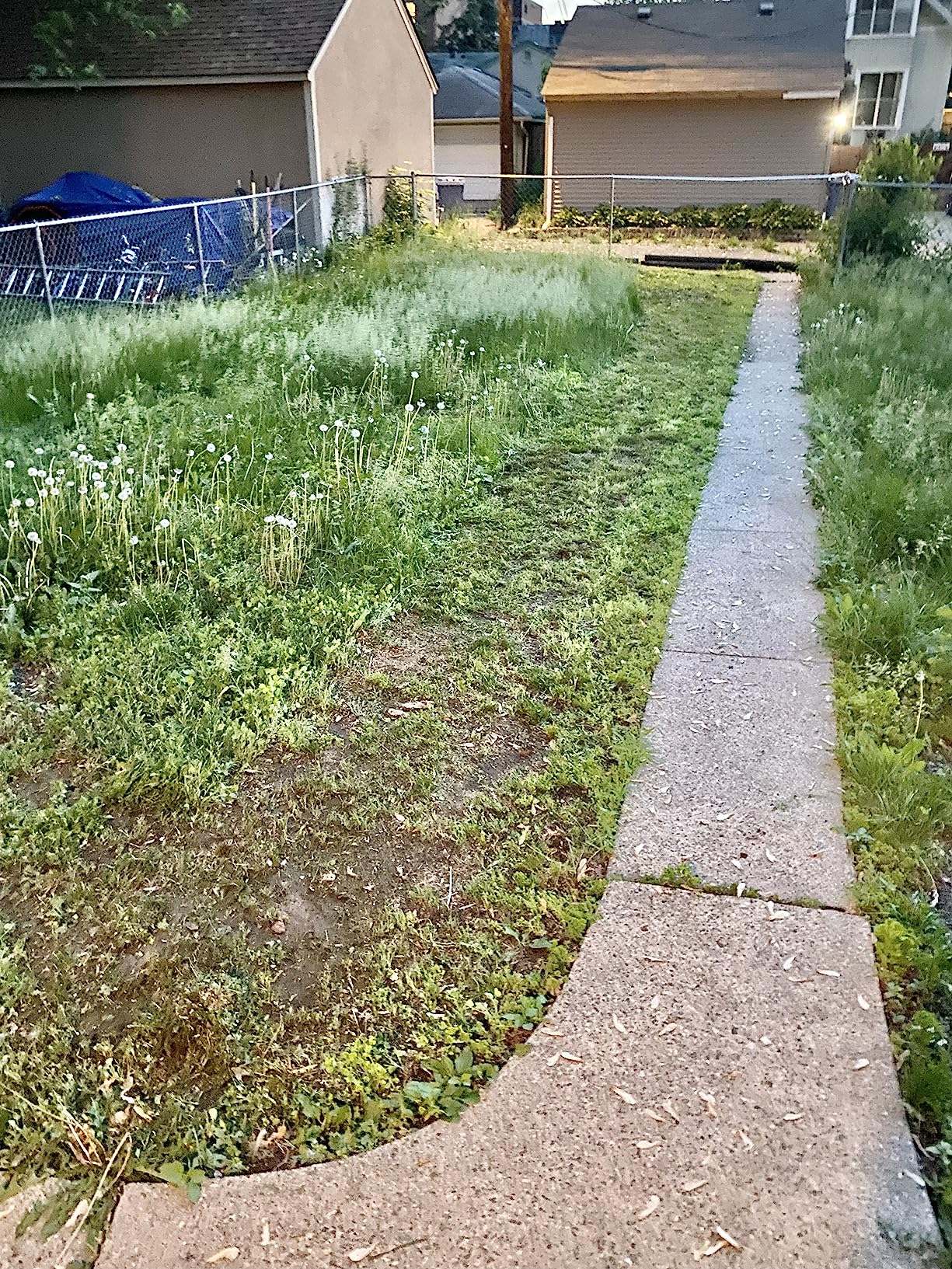 BLACK+DECKER Electric Lawn Mower with Bike Handle, 15-Inch, 10-Amp, Corded (BEMW472BH) - Customer Photo 1