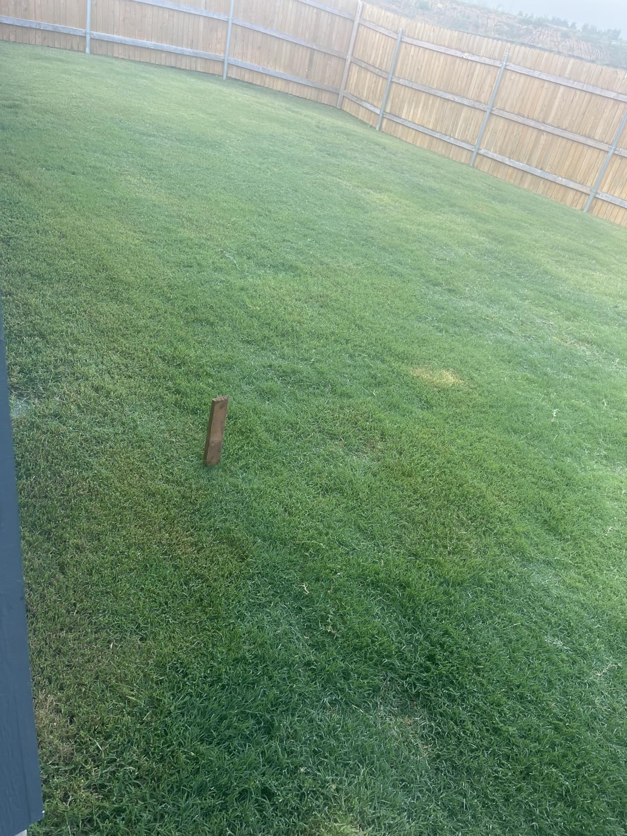 BLACK+DECKER Electric Lawn Mower with Bike Handle, 15-Inch, 10-Amp, Corded (BEMW472BH) - Customer Photo 2