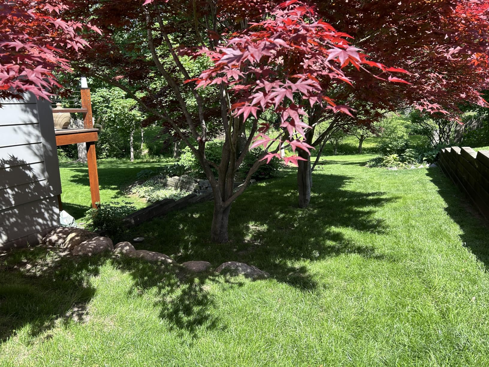 EGO POWER+ Electric Lawn Mower, Cordless, Includes 56V 6.0Ah Battery And 320W Charger - LM2114 - Customer Photo 2