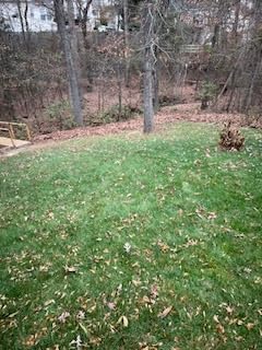 Greenworks 80V (770 CFM/190 MPH) Brushless Cordless Leaf Blower, Commercial-Grade Power for Autumn Leaf Composting, Spring Pollen Cleanup and Post-Snow Debris, Includes 4.0Ah Battery & Rapid Charger - Customer Photo 1