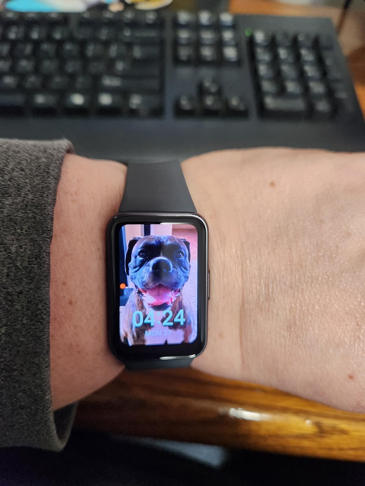 SAMSUNG Galaxy FIT 3 [2024] 1.6
