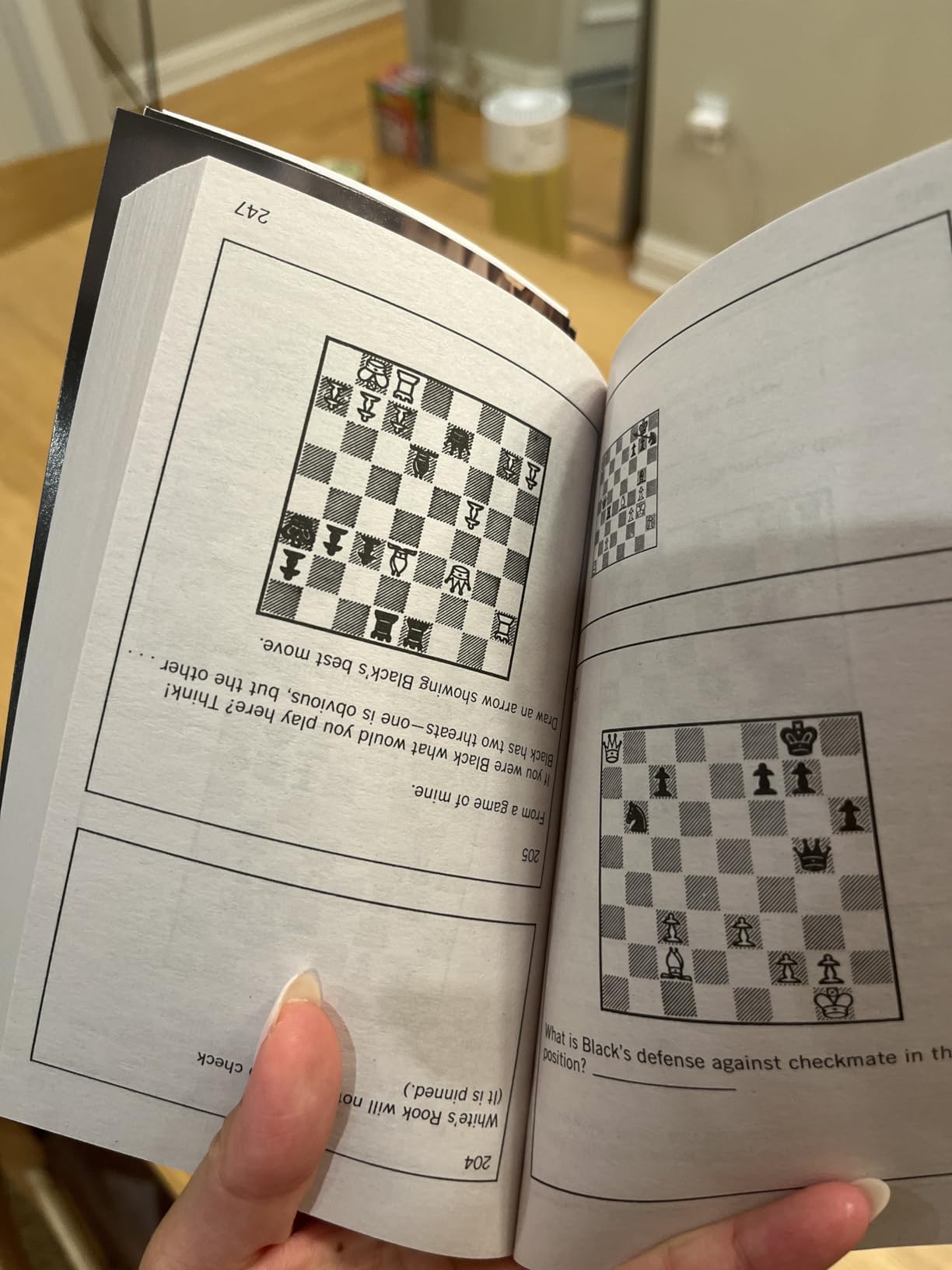 Bobby Fischer Teaches Chess customer photo 2