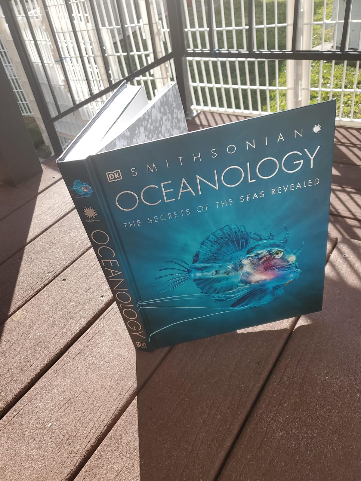 Oceanology: The Secrets of the Sea Revealed (DK Secret World Encyclopedias) customer photo 1