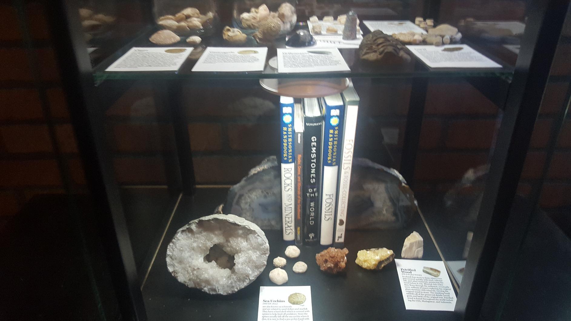 The Illustrated Guide to Fossils & Fossil Collecting: A Reference Guide to Over 375 Plant and Animal Fossils from Around the Globe and How to Identify Them, with Over 950 Photographs and Artworks customer photo 1