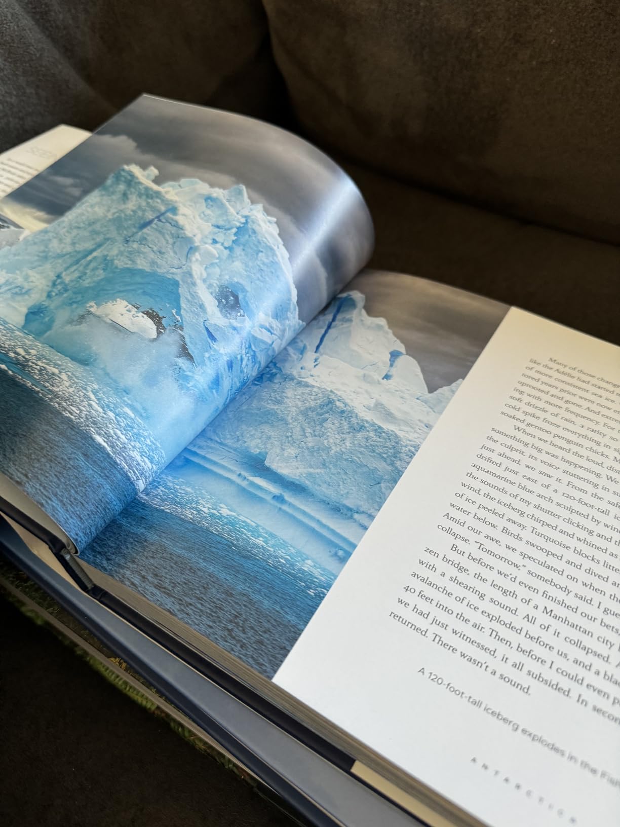 Seeing Silence: The Beauty of the World's Most Quiet Places customer photo 2