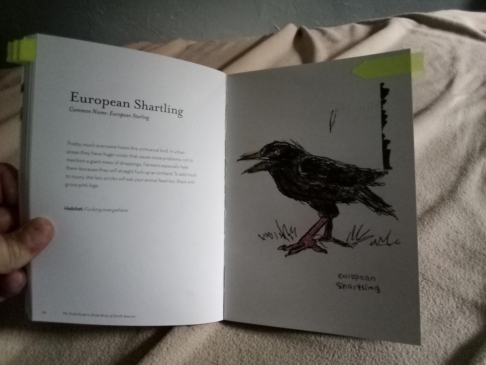 The Field Guide to Dumb Birds of North America (Bird Books, Books for Bird Lovers, Humor Books) customer photo 1