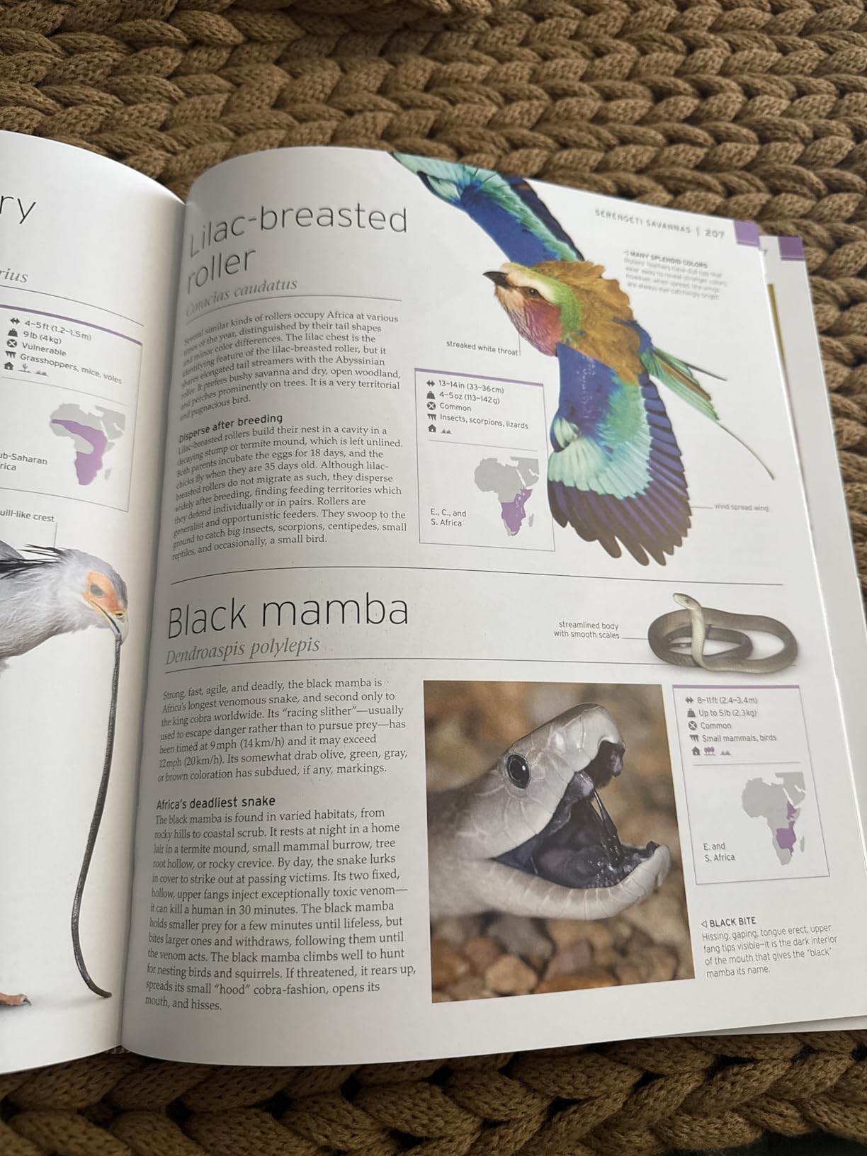 Wildlife of the World customer photo 1