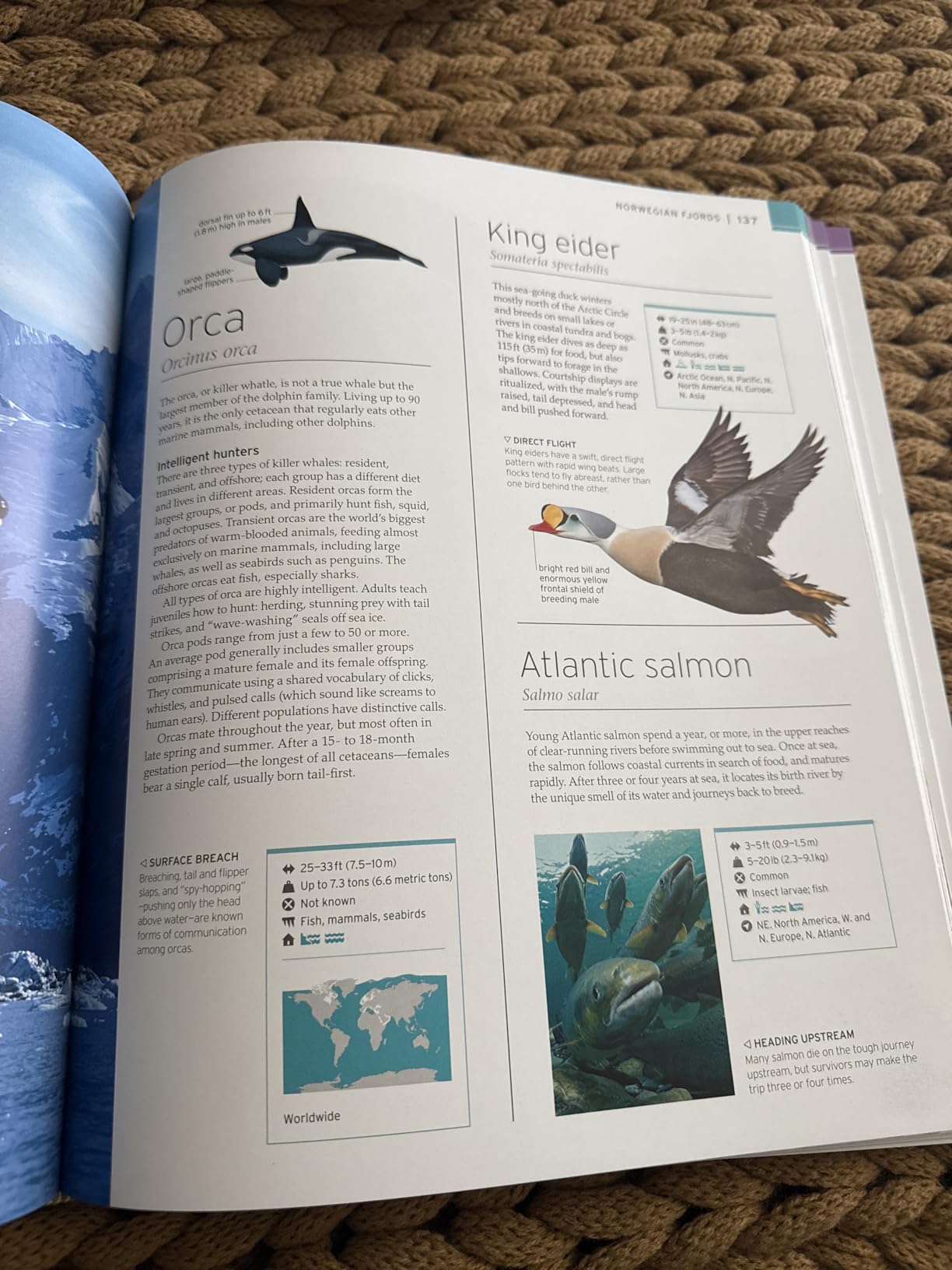 Wildlife of the World customer photo 2