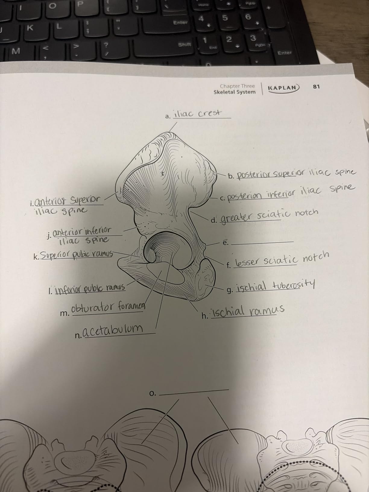Anatomy Coloring Book with 450+ Realistic Medical Illustrations with Quizzes for Each (Kaplan Test Prep) customer photo 1