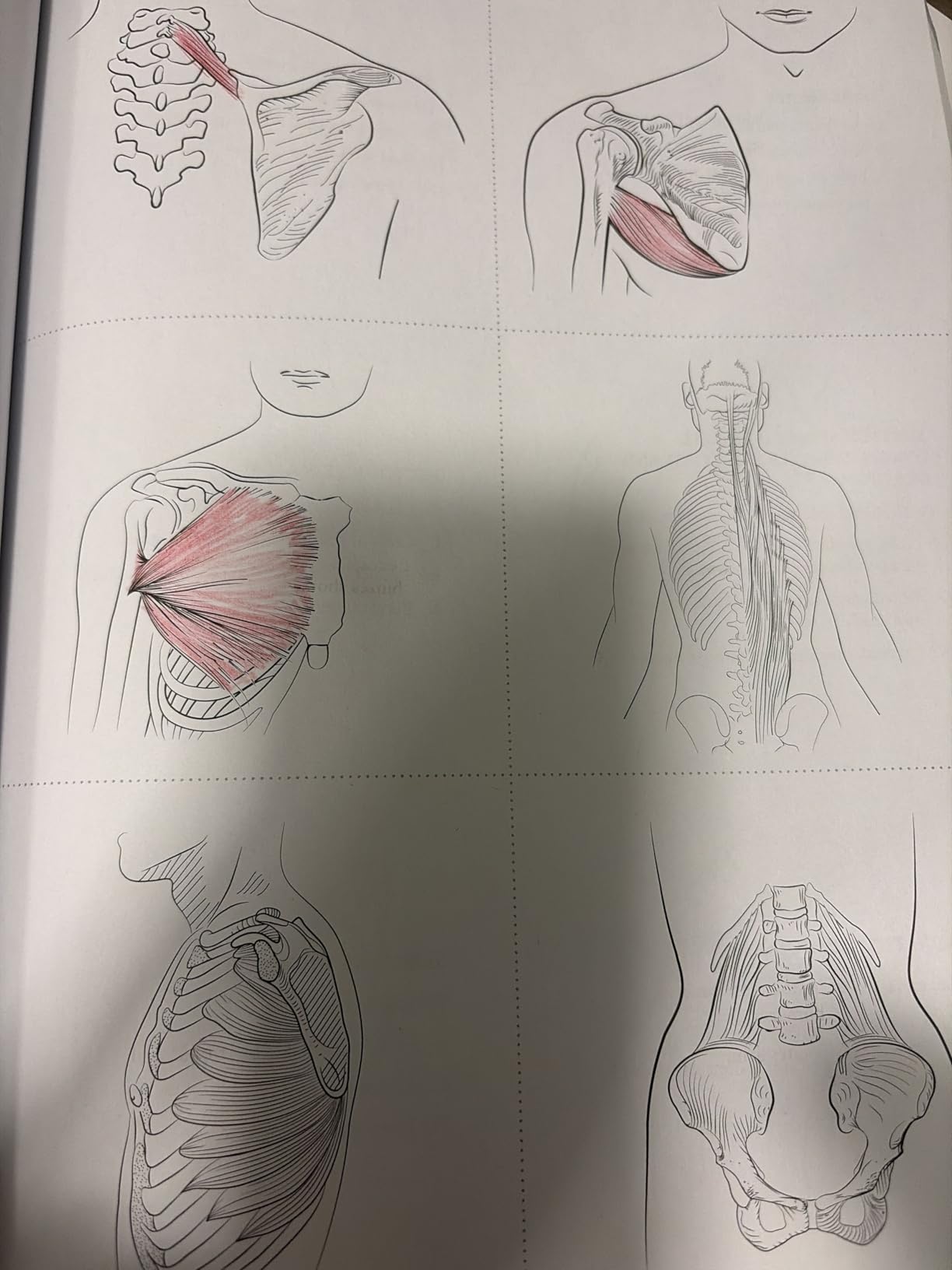 Anatomy Coloring Book with 450+ Realistic Medical Illustrations with Quizzes for Each (Kaplan Test Prep) customer photo 2
