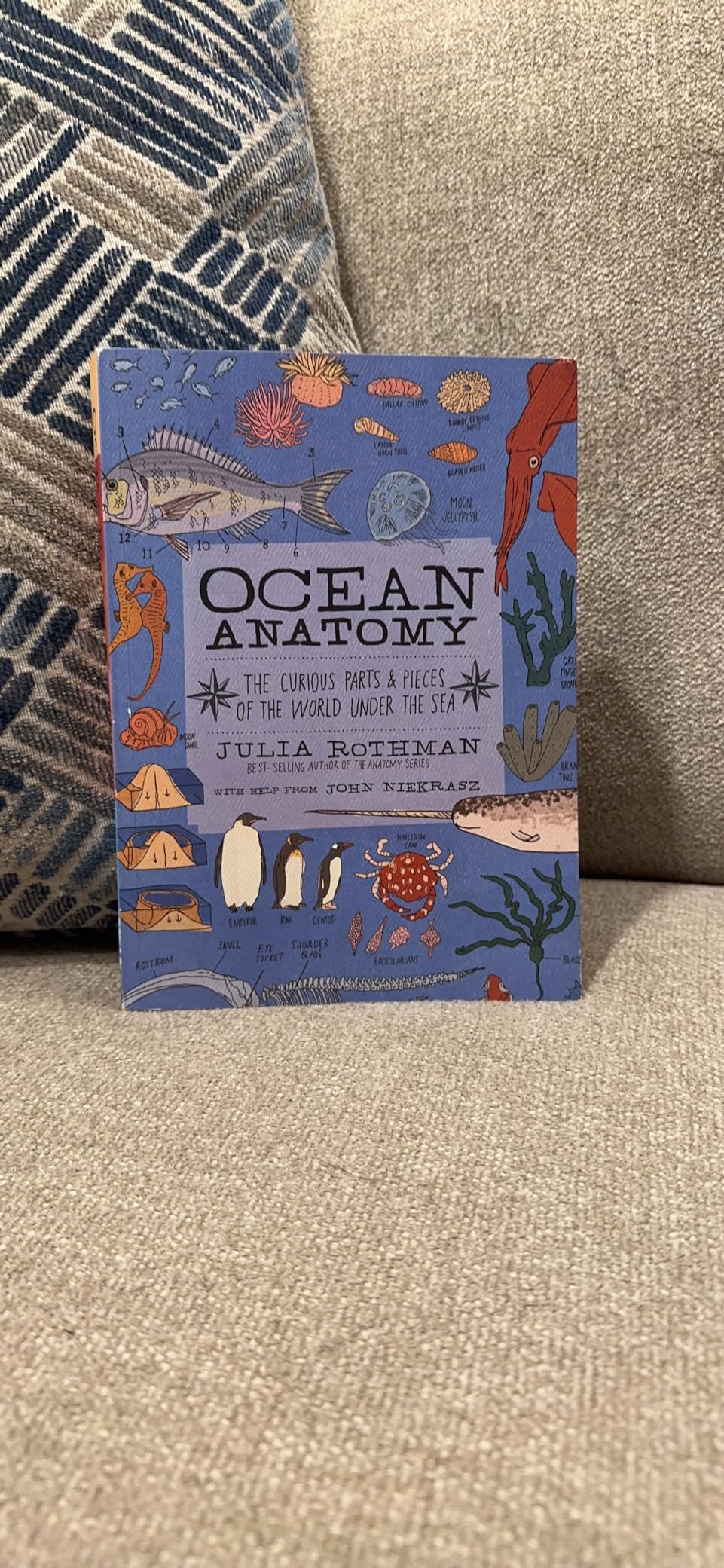 Ocean Anatomy: The Curious Parts & Pieces of the World under the Sea customer photo 1