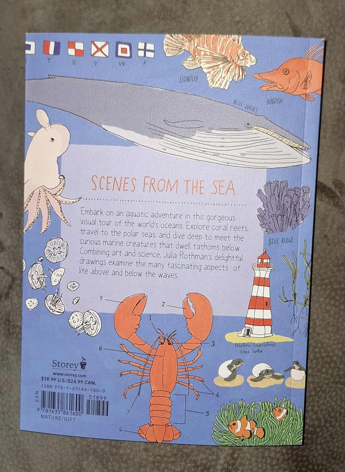 Ocean Anatomy: The Curious Parts & Pieces of the World under the Sea customer photo 2