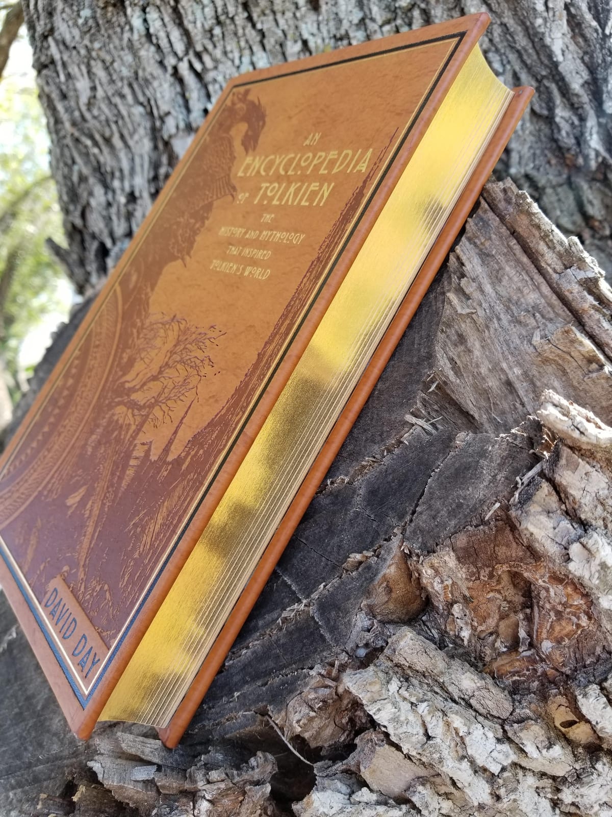 An Encyclopedia of Tolkien (Deluxe Leatherbound Edition): The History and Mythology That Inspired Tolkien's World (Leather-bound Classics) customer photo 1
