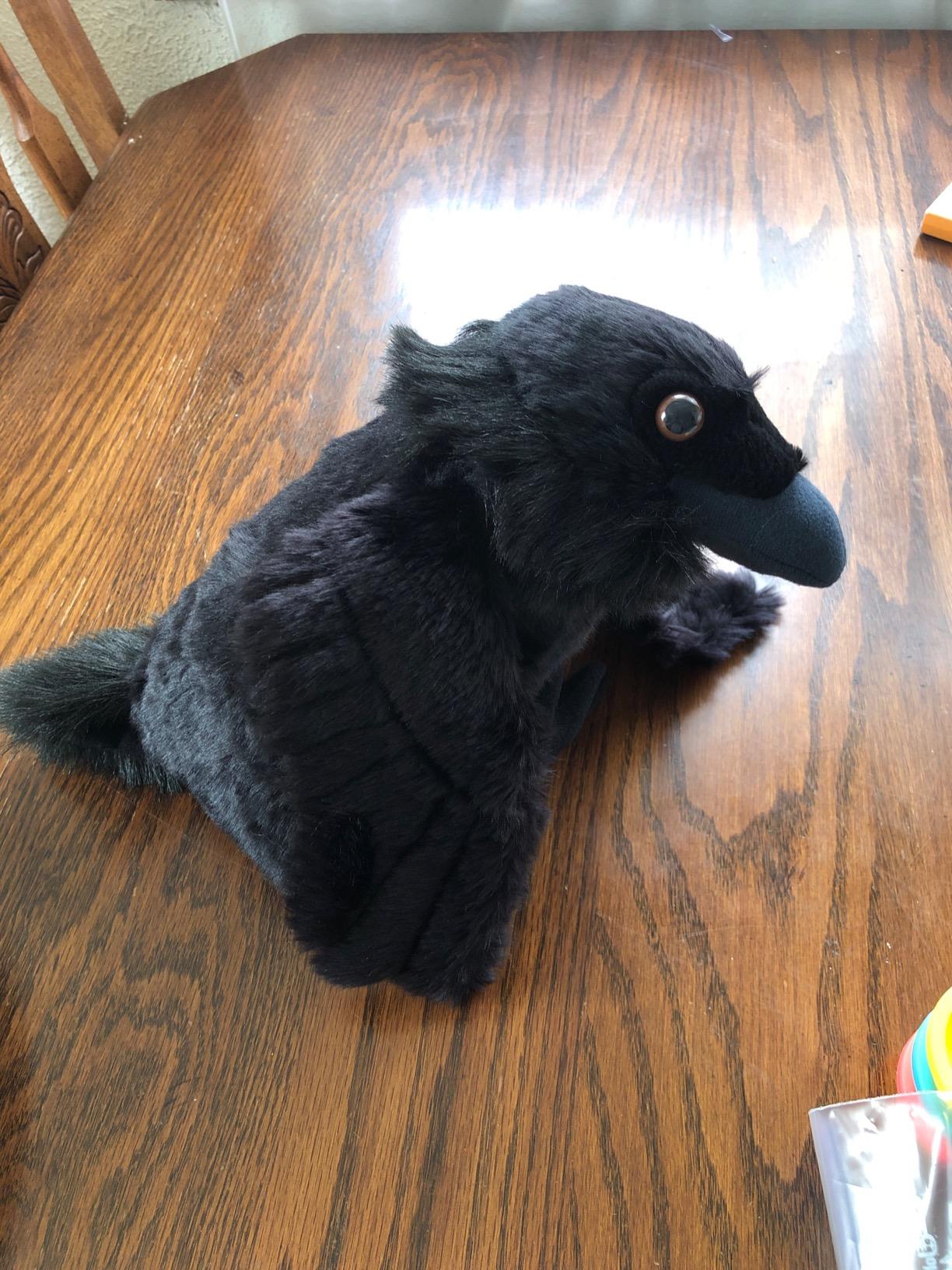 Wild Republic Raven Plush, Cuddlekins, Stuffed Animal, Soft Toy, Gifts for Kids, 12 Inches customer photo 1