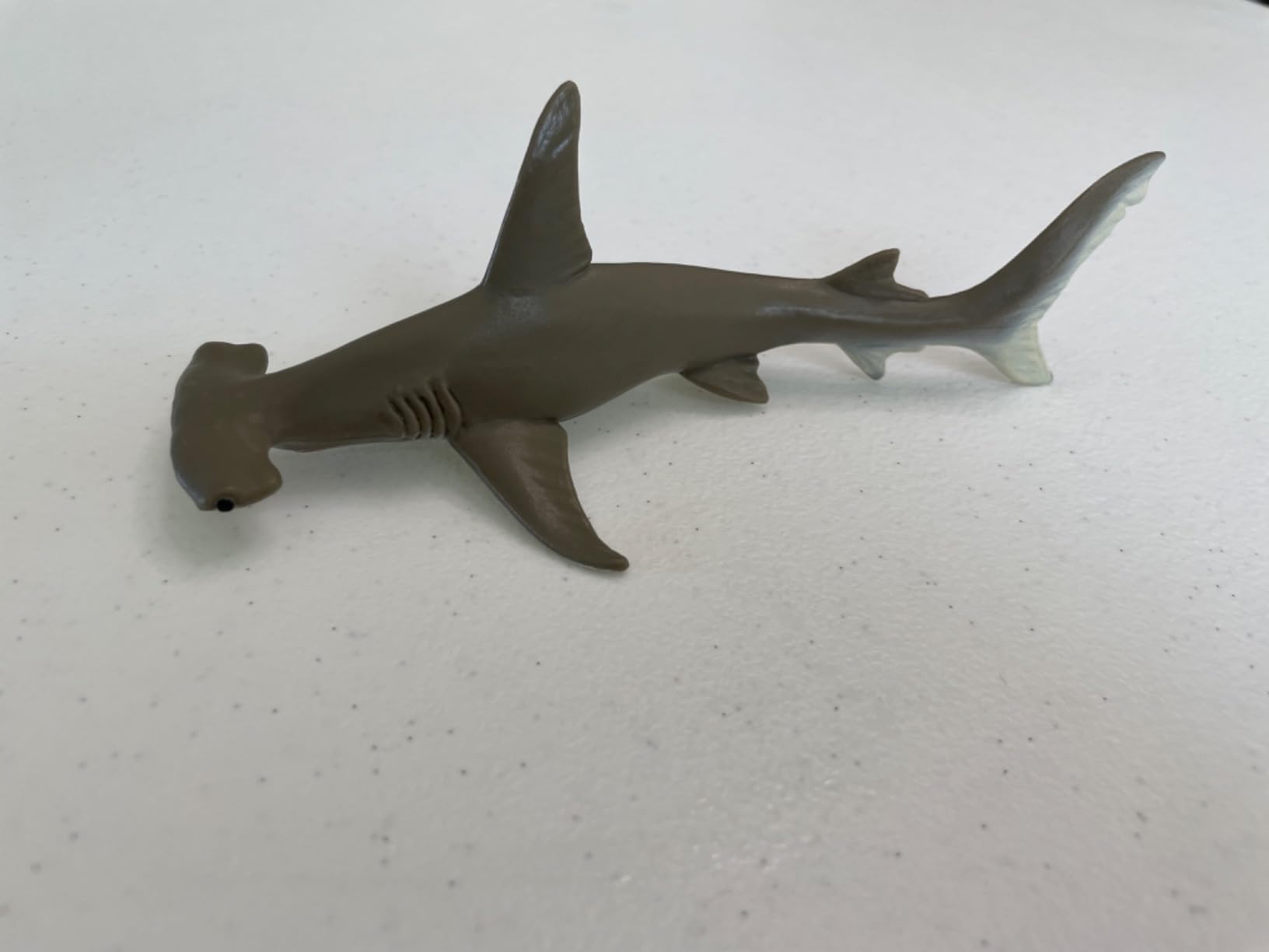 Safari Ltd. Hammerhead Shark Figurine - Detailed 6.5