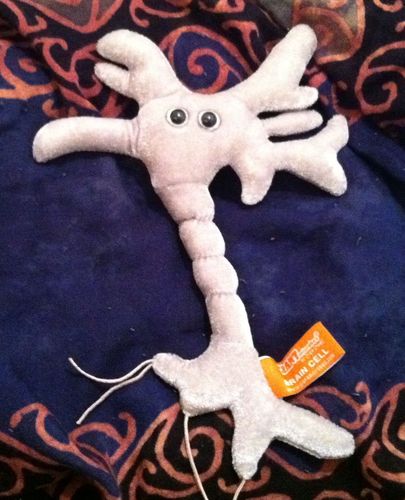 GIANT MICROBES Brain Cell Plush, Neuron Model Anatomy, Psychology Gifts customer photo 1