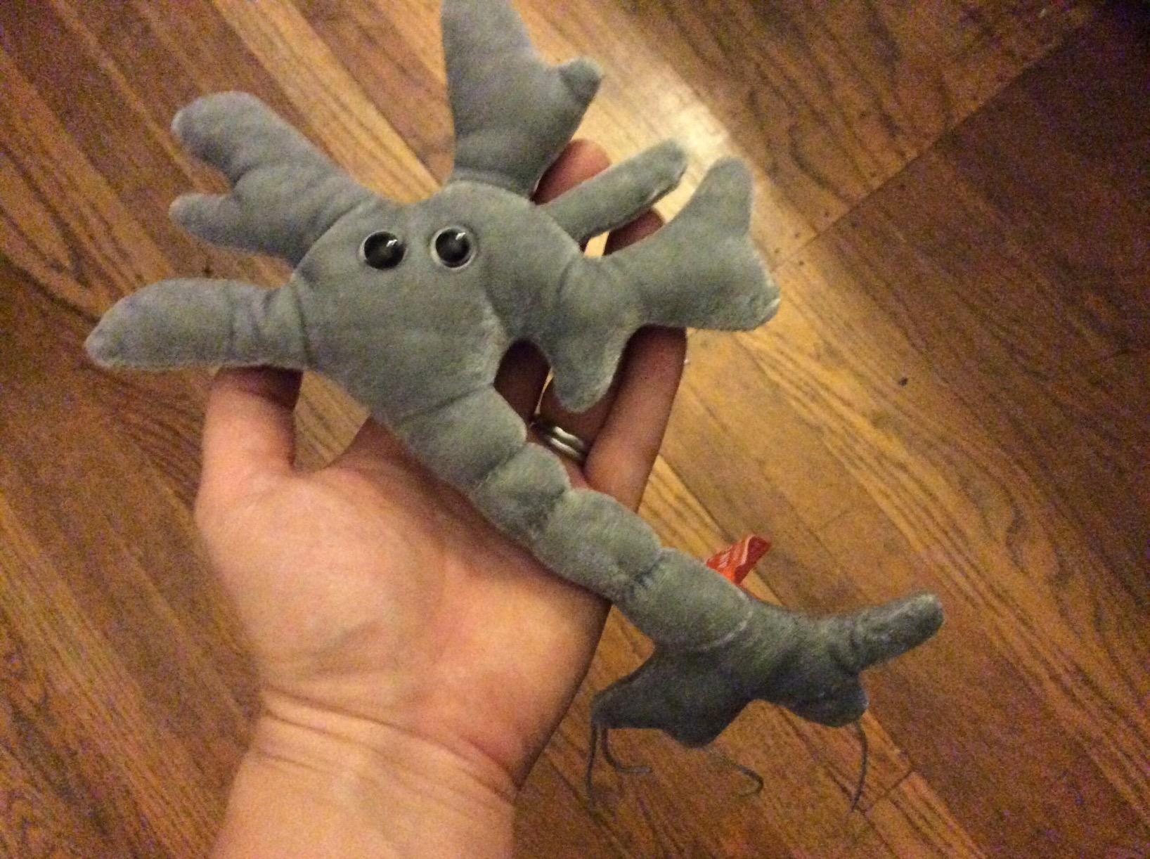 GIANT MICROBES Brain Cell Plush, Neuron Model Anatomy, Psychology Gifts customer photo 2