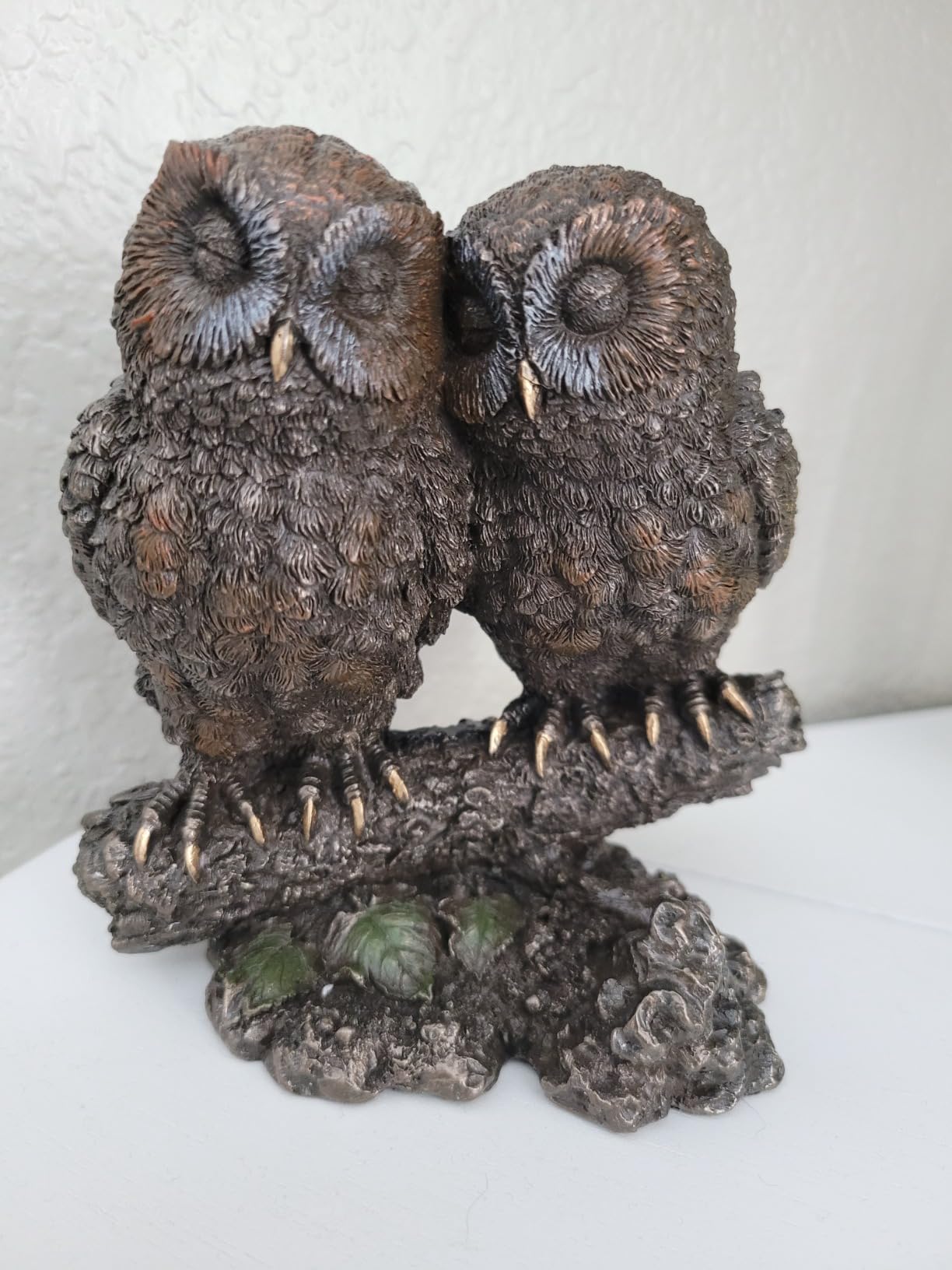 Top Collection Owl Lovers Statue on Tree Branch - Sleeping Great Horned Owl Sculpture in Premium Cold Cast Bronze - 5-Inch Collectible Animal Figurine customer photo 2