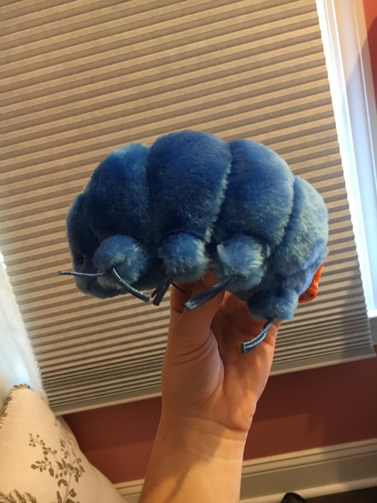 GIANT MICROBES Tardigrade Plush, Waterbear Plush Toy, Biology Gifts, Science Gift, Tardigrade Gifts, Marine Biologist, STEM Toys, Laboratory Decor, Cool Science Stuff customer photo 1