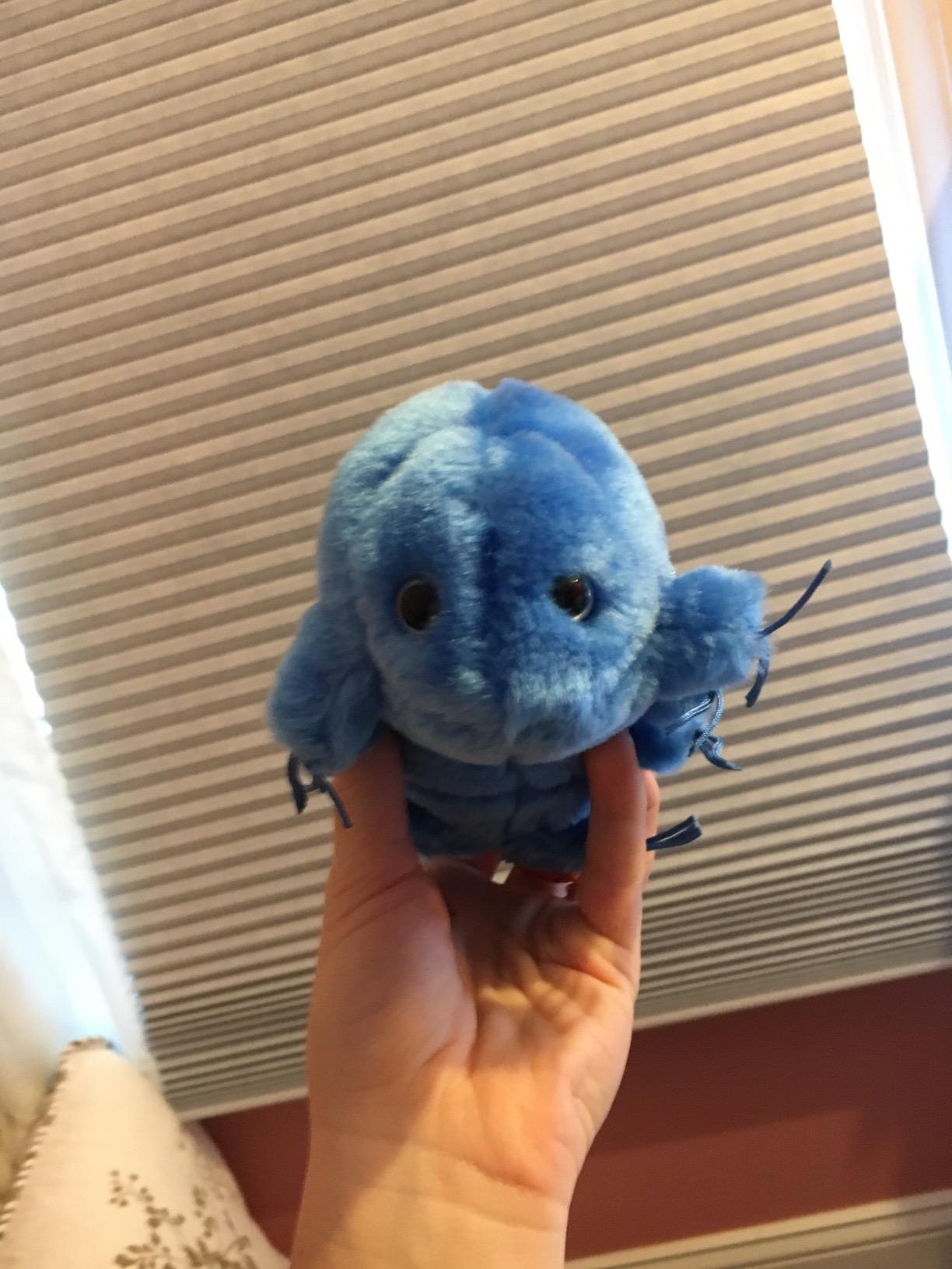 GIANT MICROBES Tardigrade Plush, Waterbear Plush Toy, Biology Gifts, Science Gift, Tardigrade Gifts, Marine Biologist, STEM Toys, Laboratory Decor, Cool Science Stuff customer photo 2