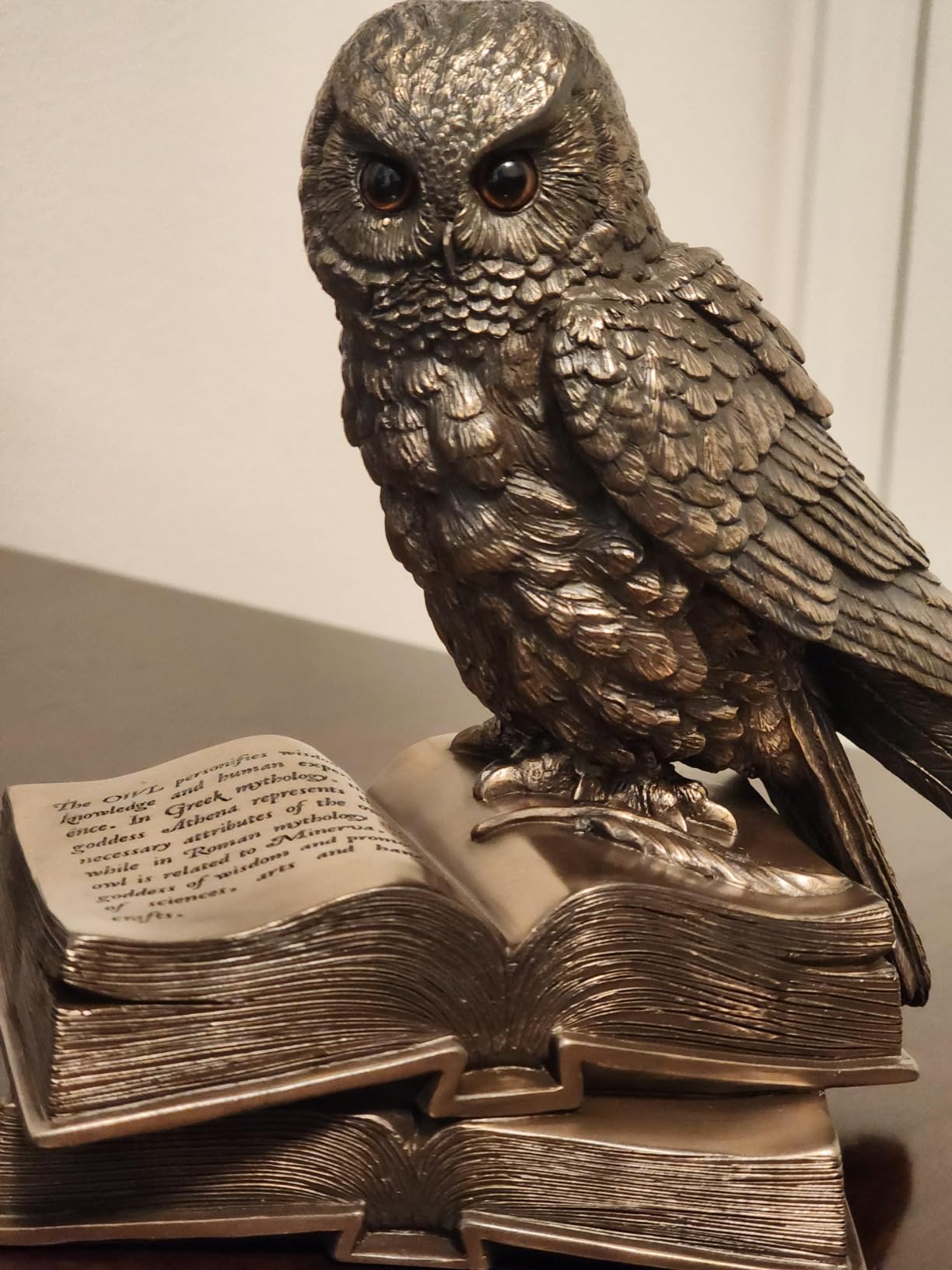 Top Collection Owl on Book Statue - Great Horned Owl Sculpture in Premium Cold Cast Bronze - 7-Inch Collectible Animal Figurine customer photo 1