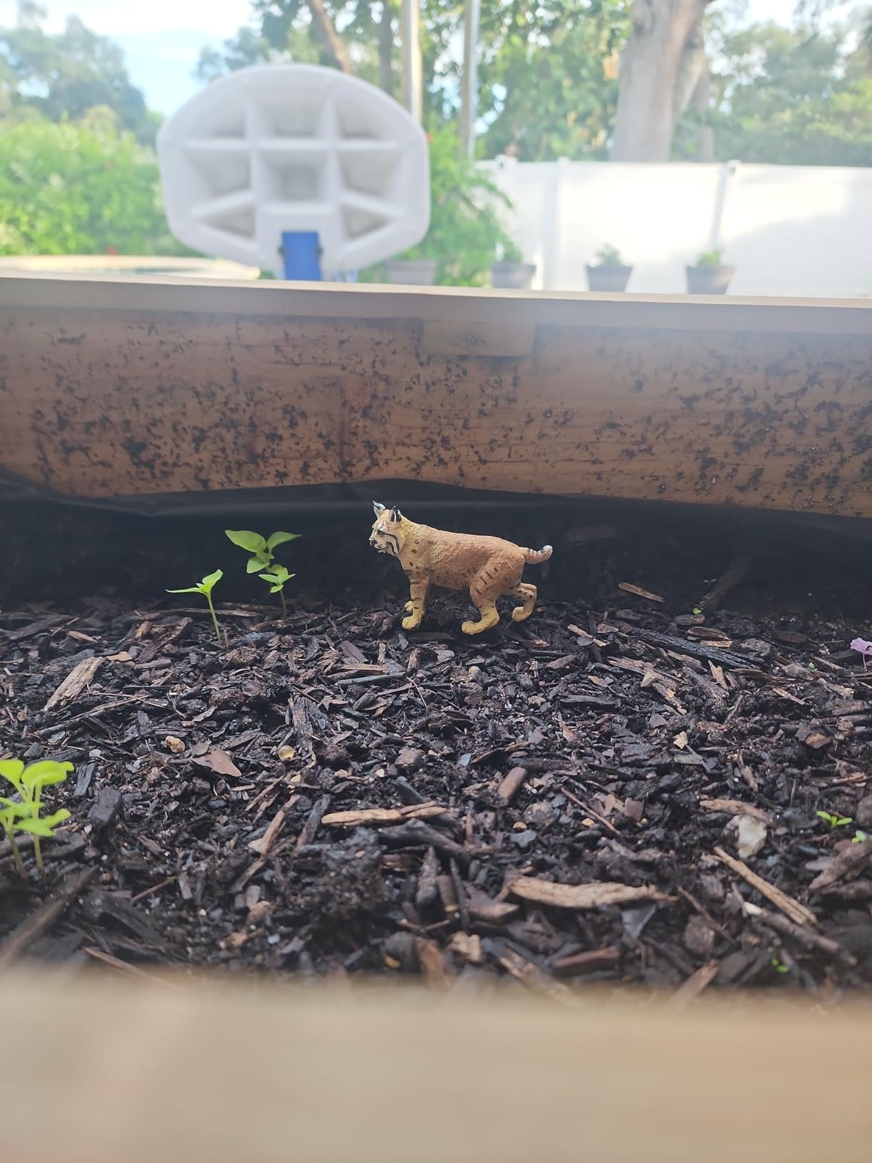 Safari Ltd. Bobcat Figurine customer photo 1