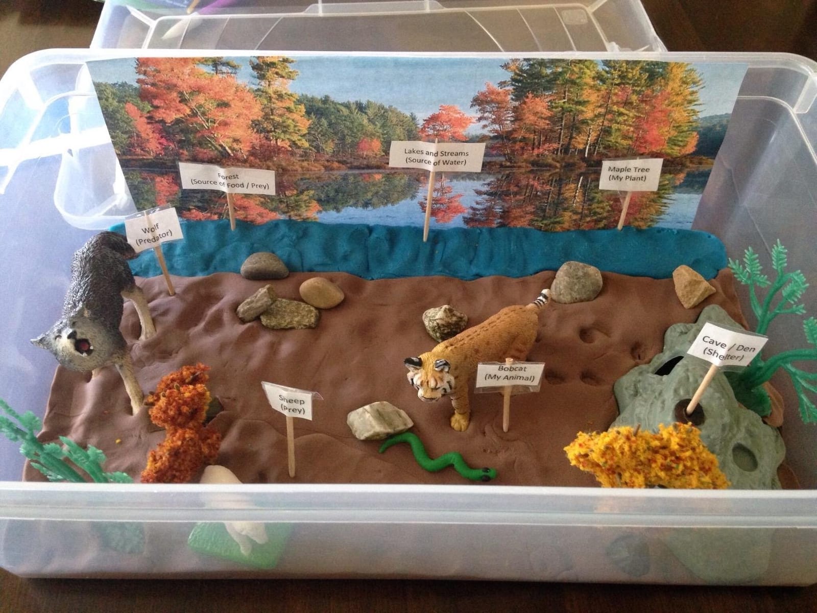 Safari Ltd. Bobcat Figurine customer photo 2