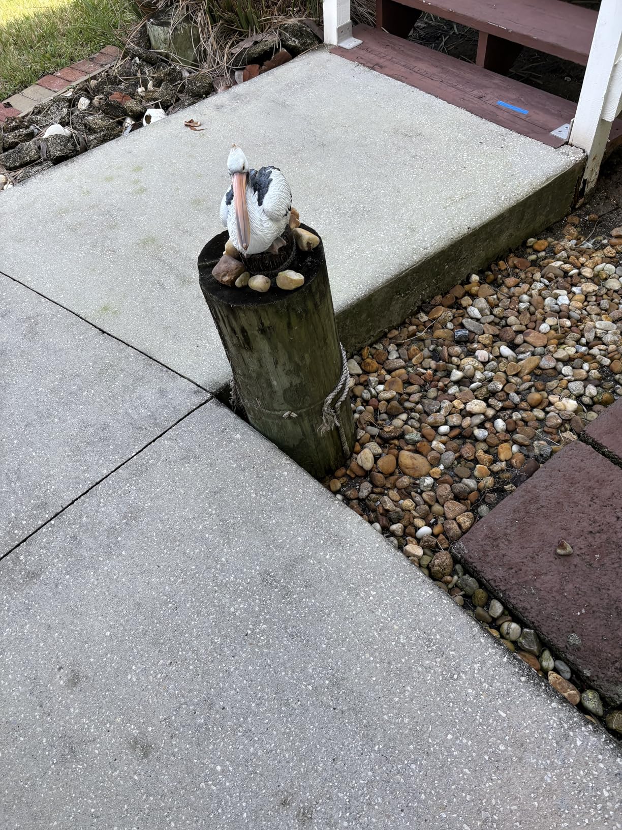 Ocean Side PIER 51 Pelican Statue customer photo 1